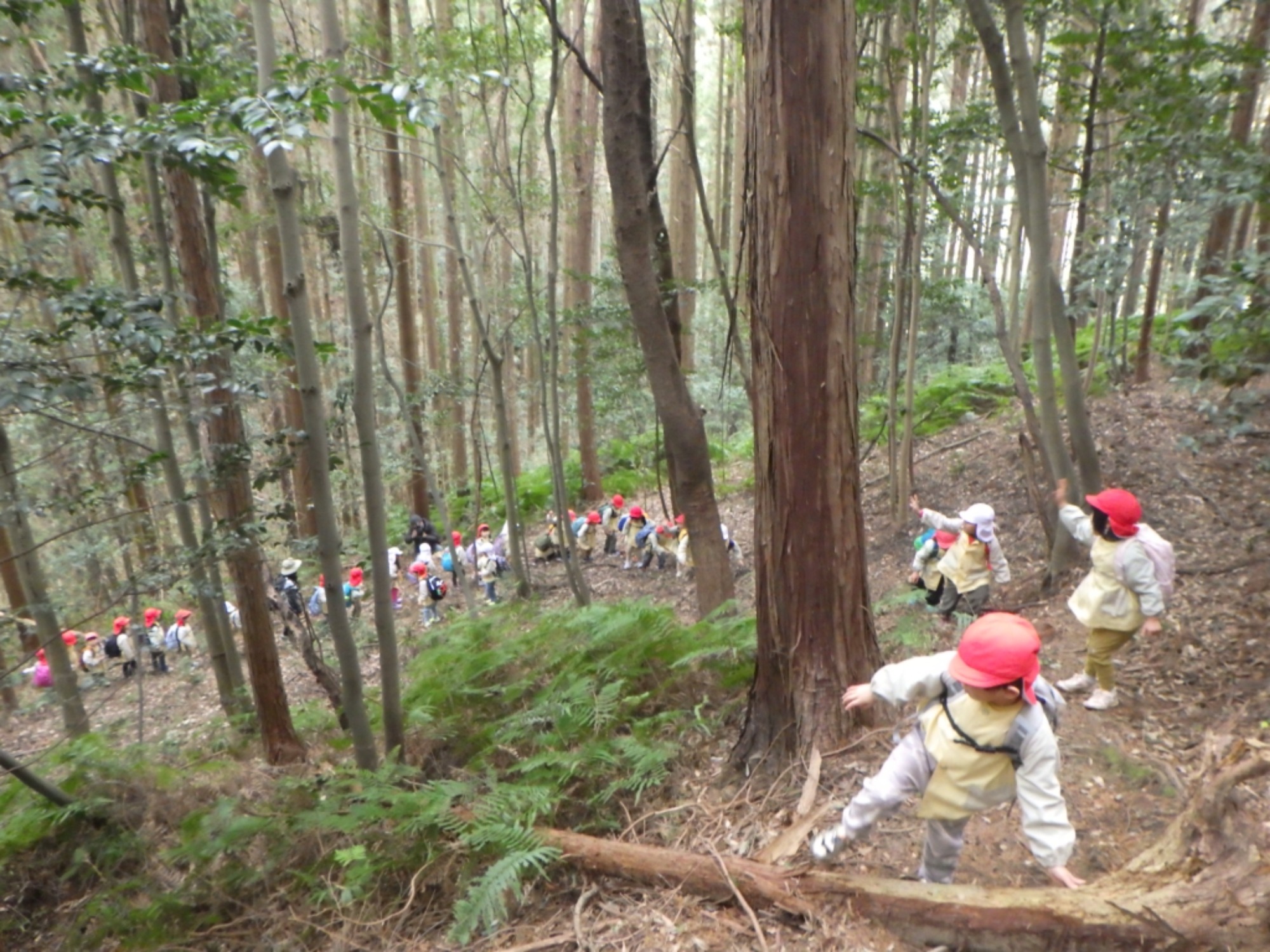 【年中】1/13　村積山　園外保育（1/2）