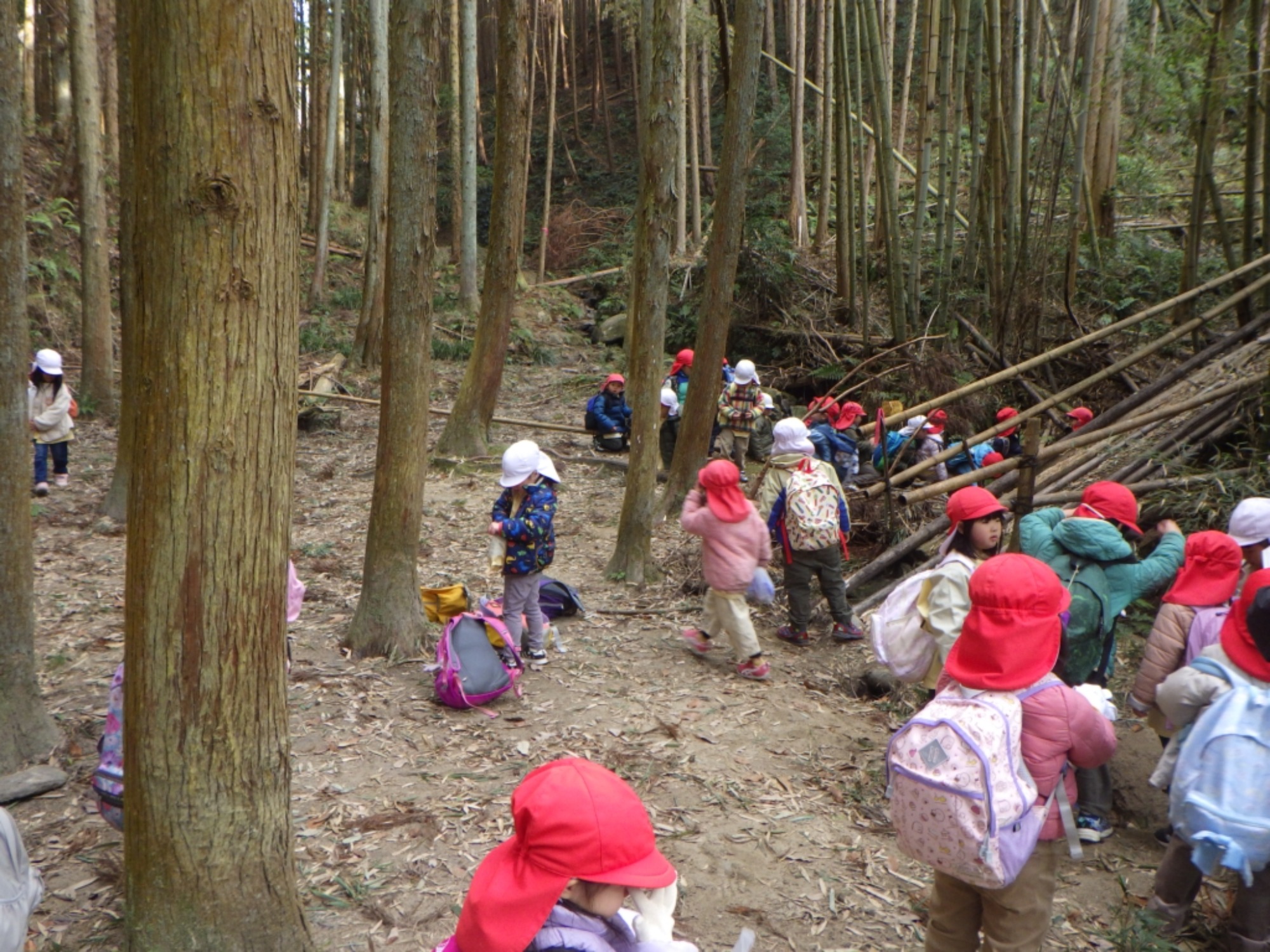 【年中】1/13　村積山　園外保育（2/2）