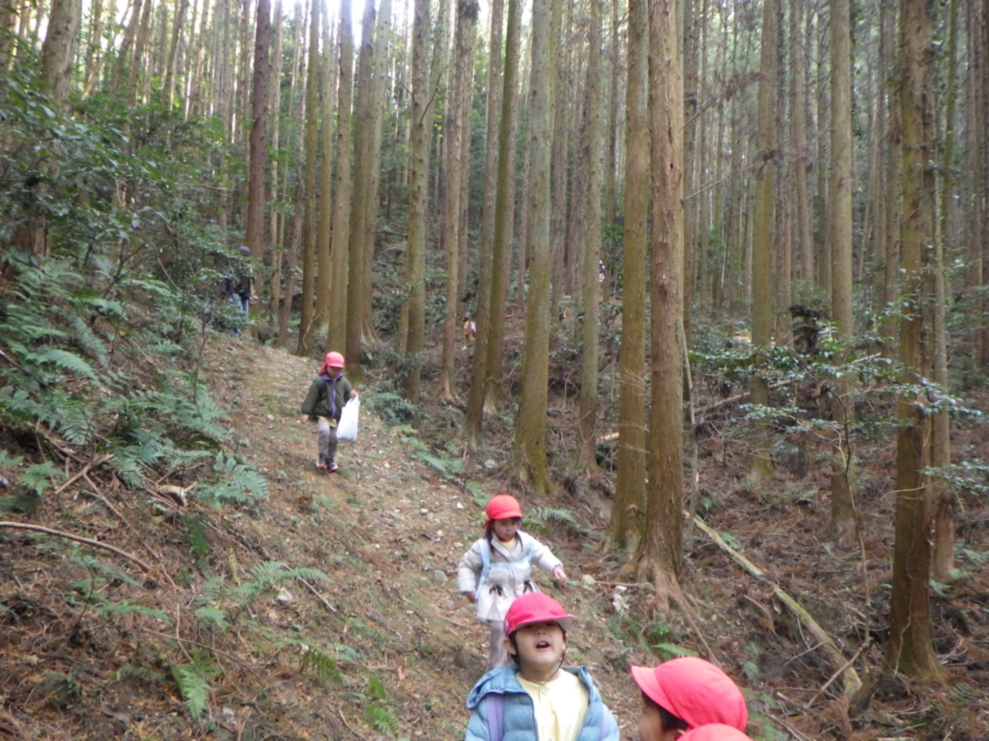 【年中】1/13　村積山　園外保育（2/2）
