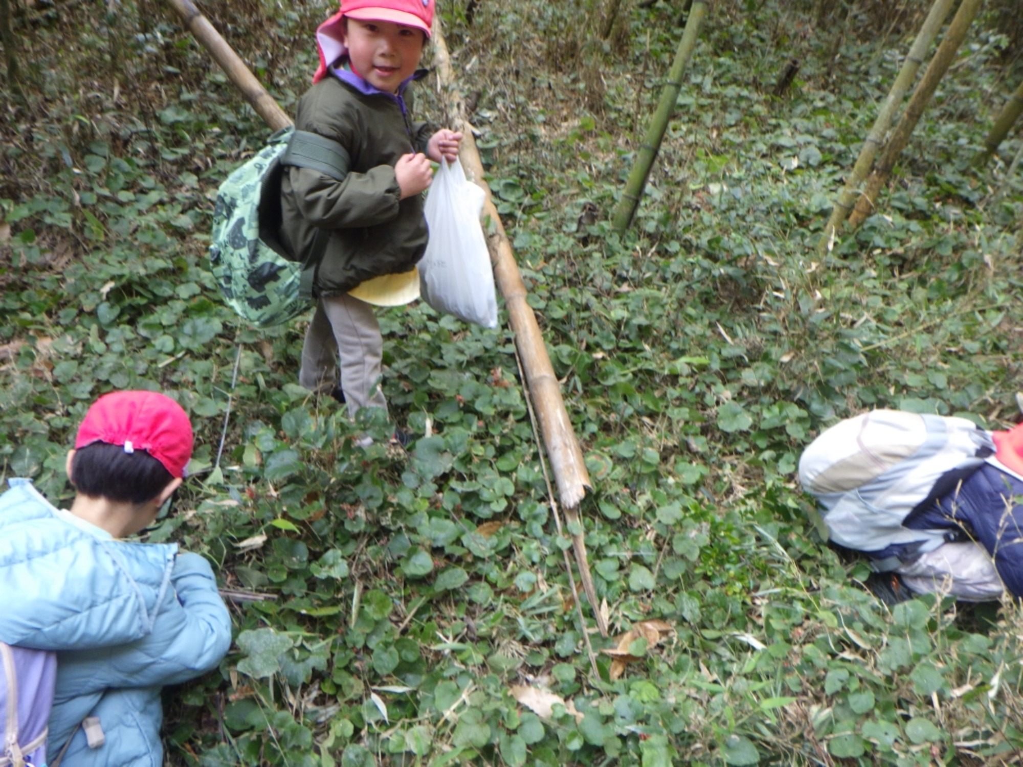 【年中】1/13　村積山　園外保育（2/2）