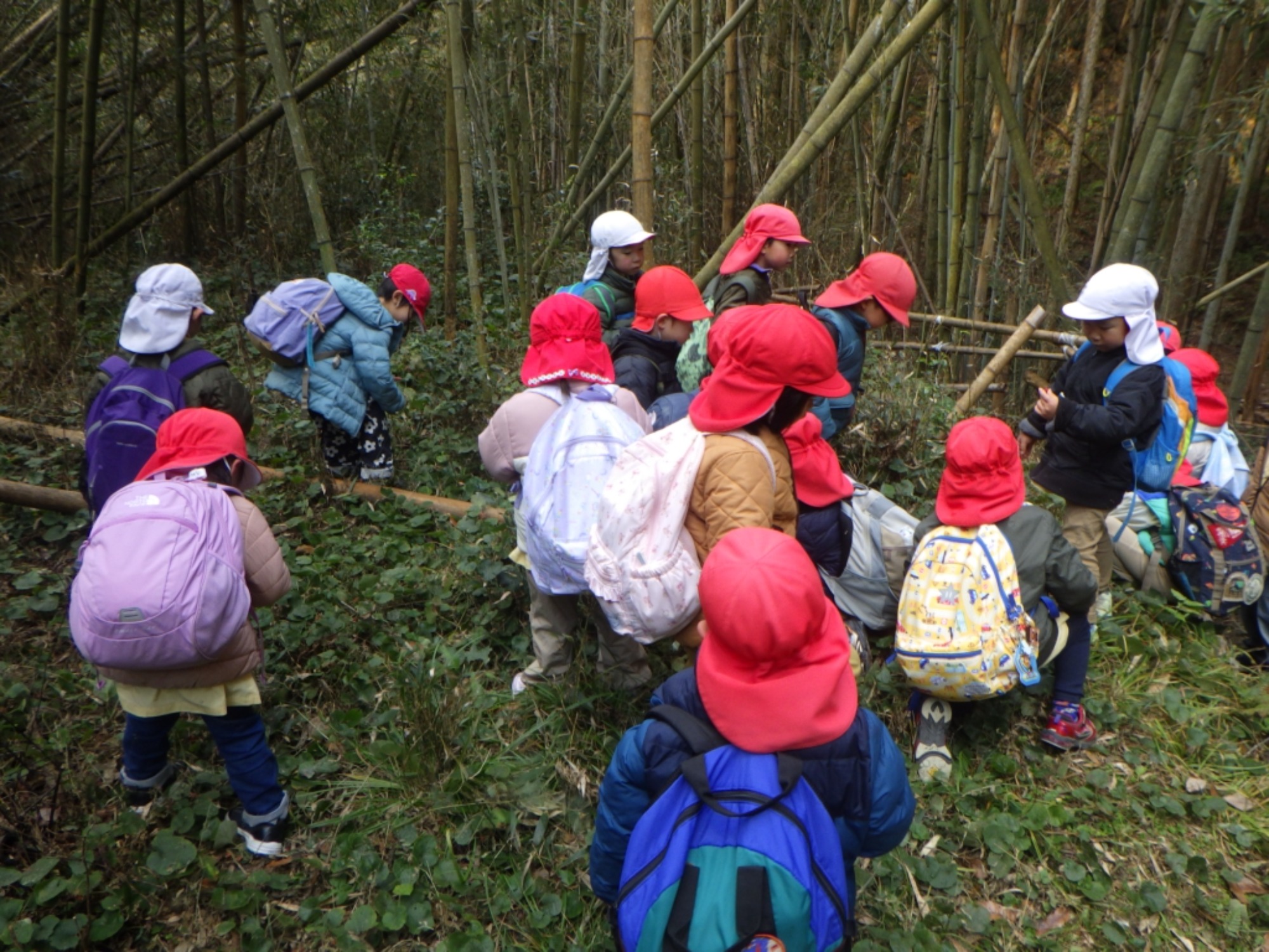 【年中】1/13　村積山　園外保育（2/2）