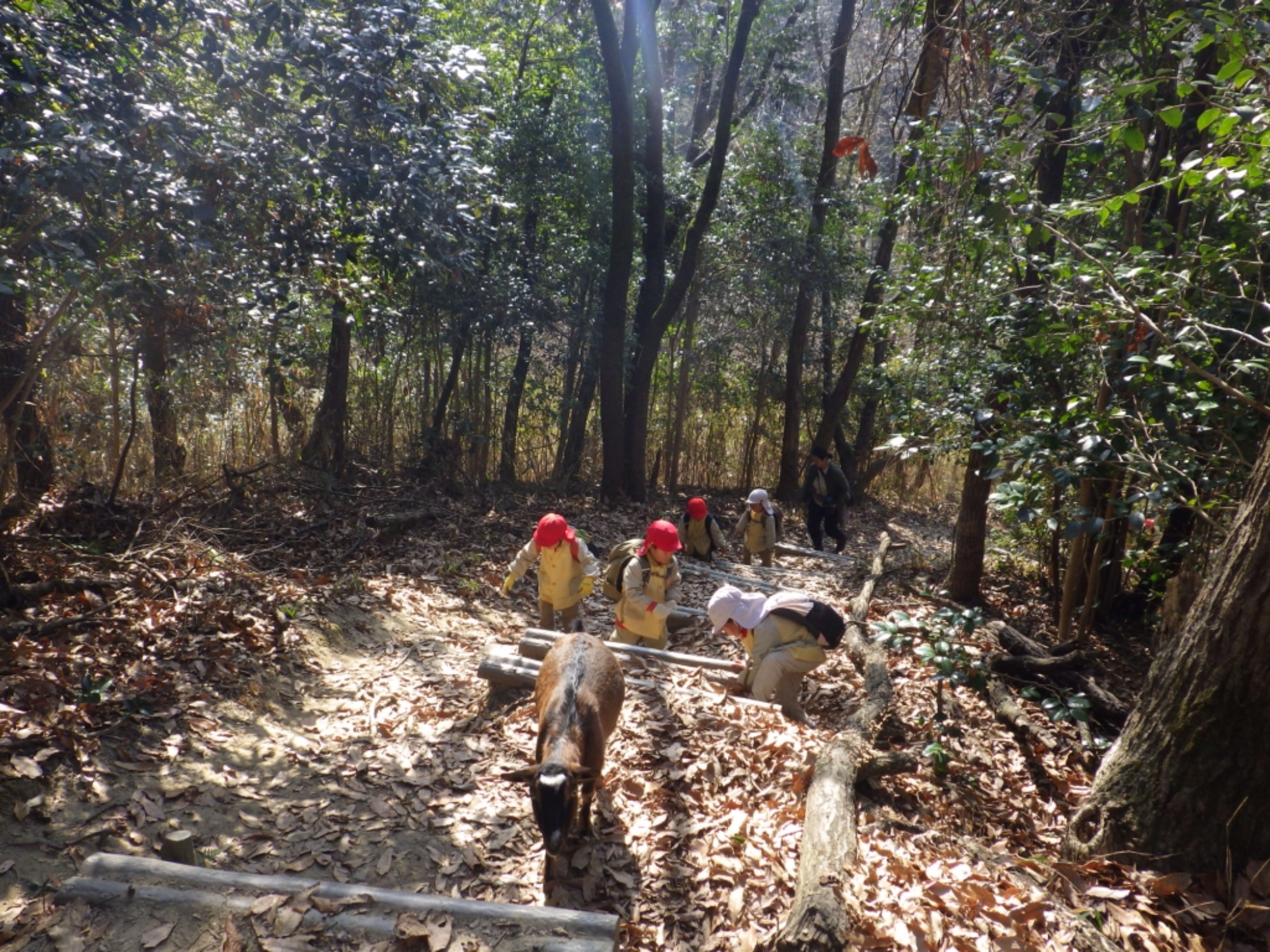 【年少】1/19　村積山　園外保育（1/2）