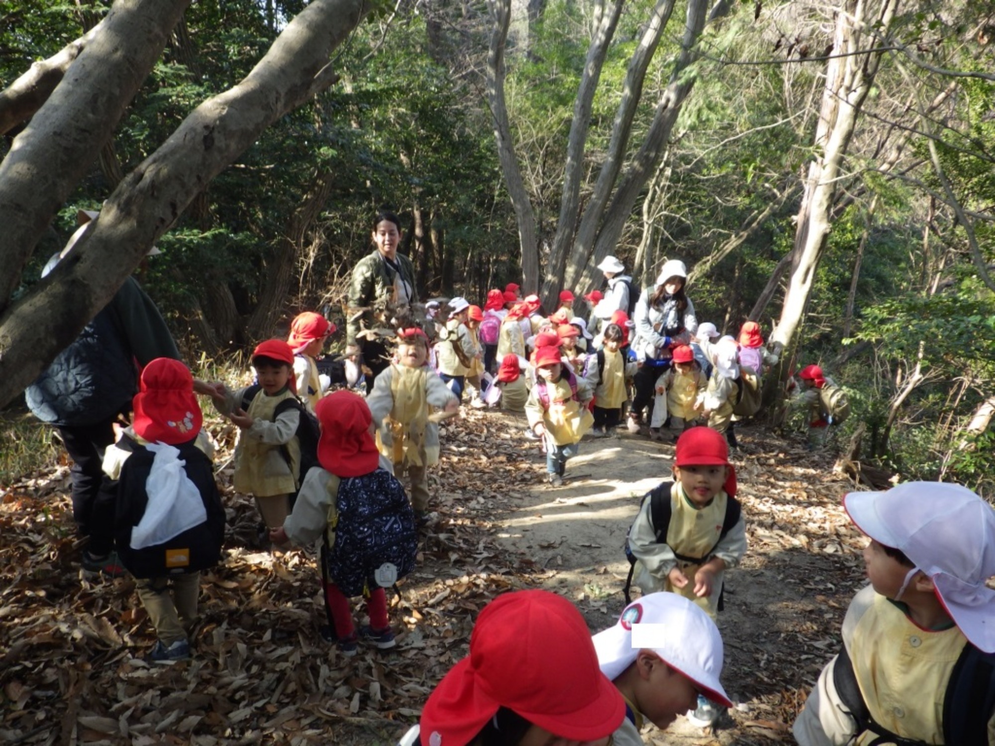 【年少】1/19　村積山　園外保育（1/2）