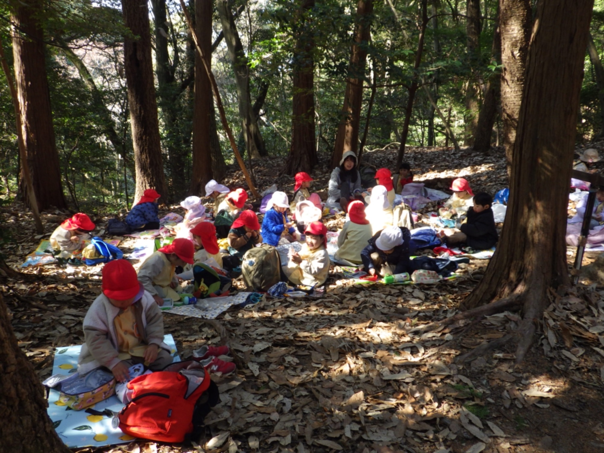 【年少】1/19　村積山　園外保育（1/2）