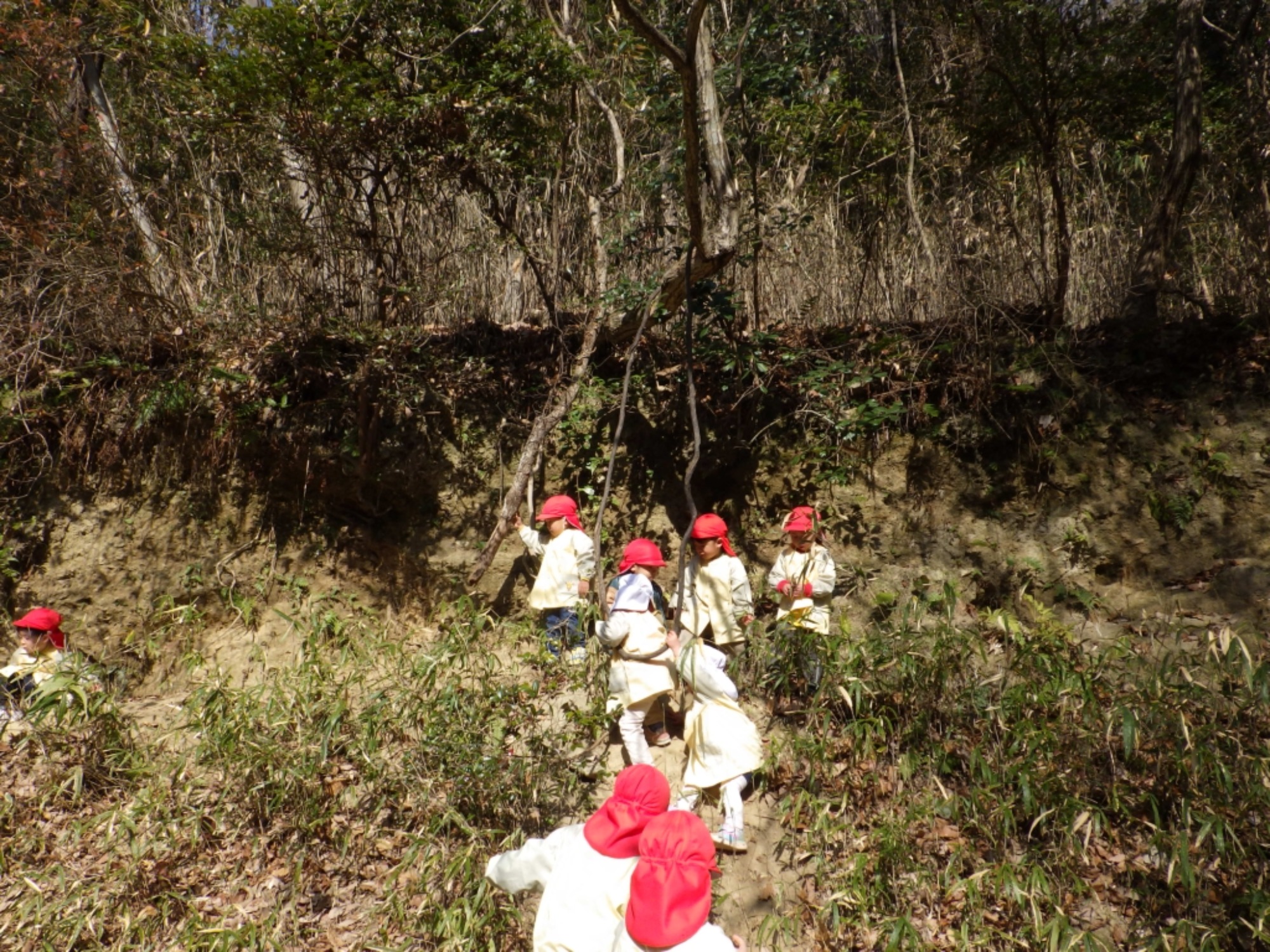 【年少】1/19　村積山　園外保育（1/2）