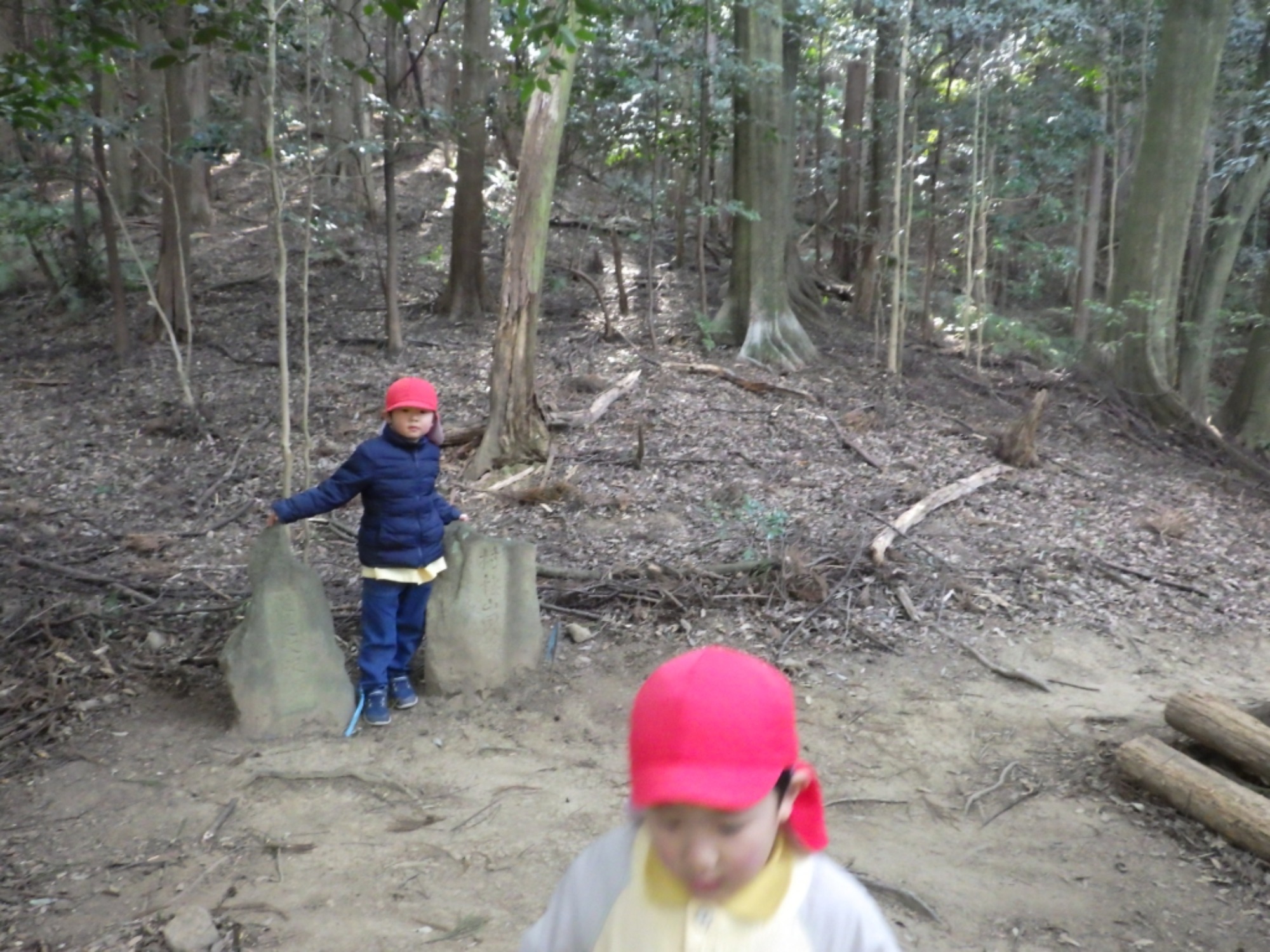 【年少】1/19 村積山 園外保育(2/2)