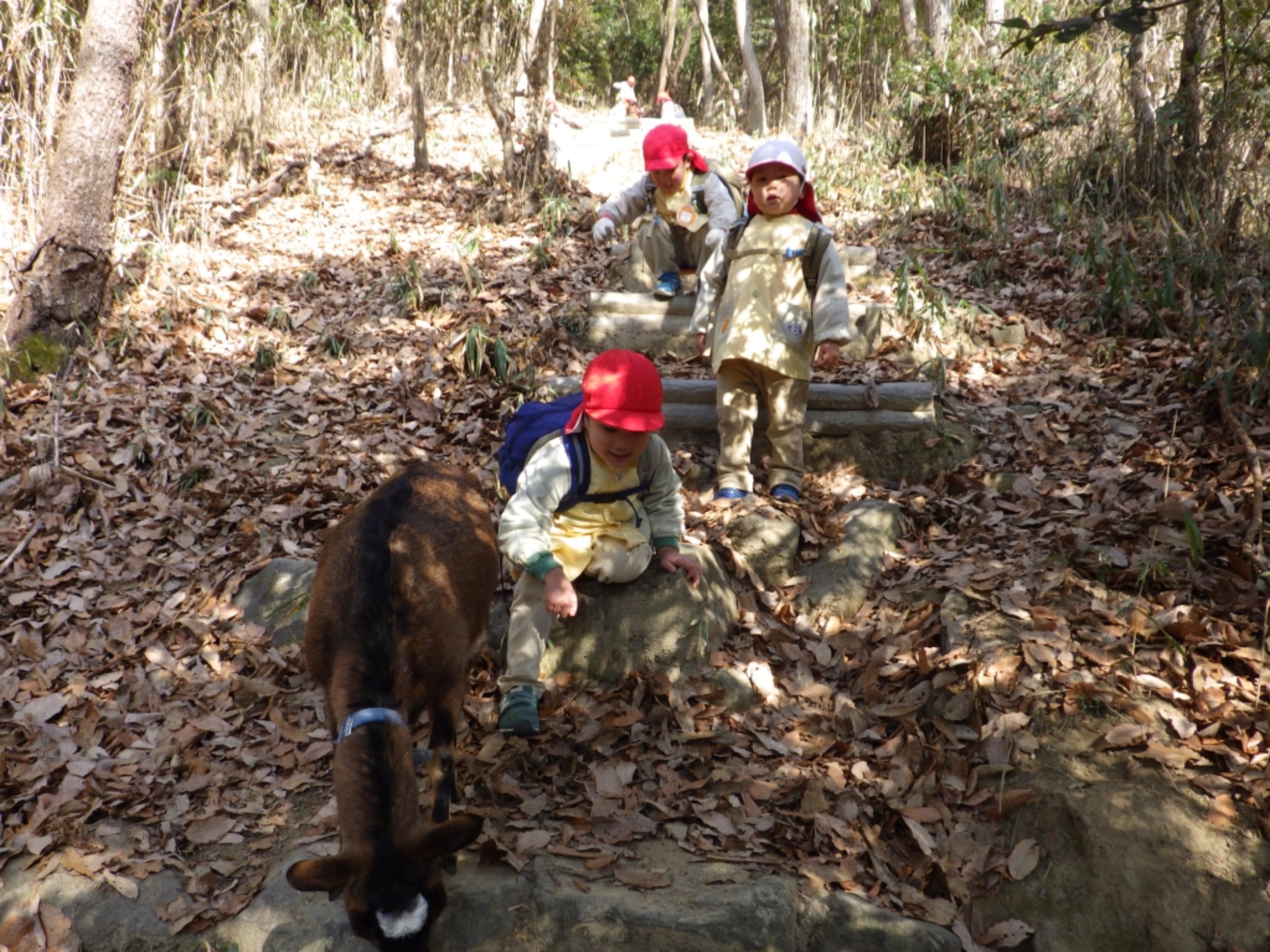 【年少】1/19 村積山 園外保育(2/2)