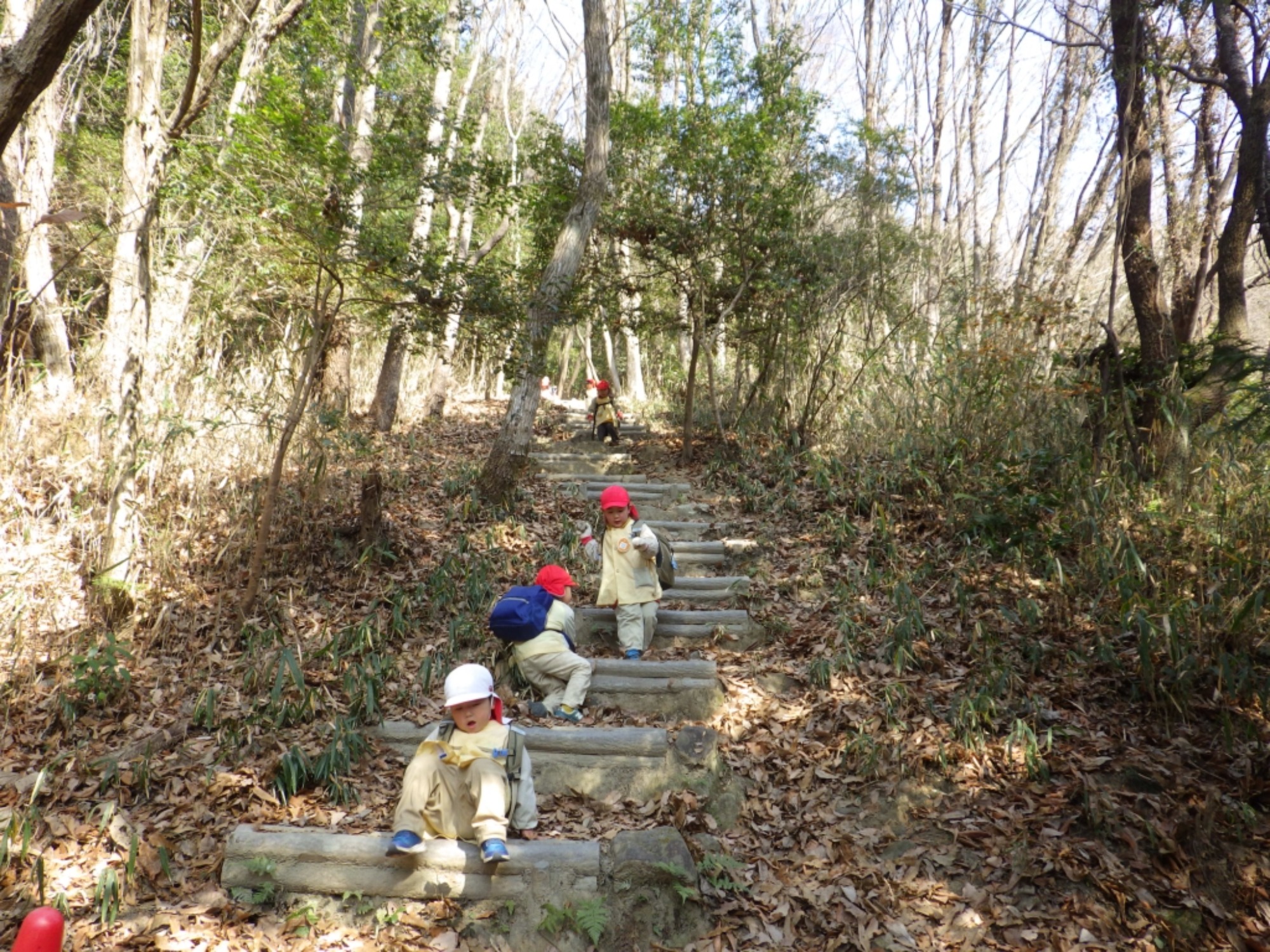 【年少】1/19 村積山 園外保育(2/2)