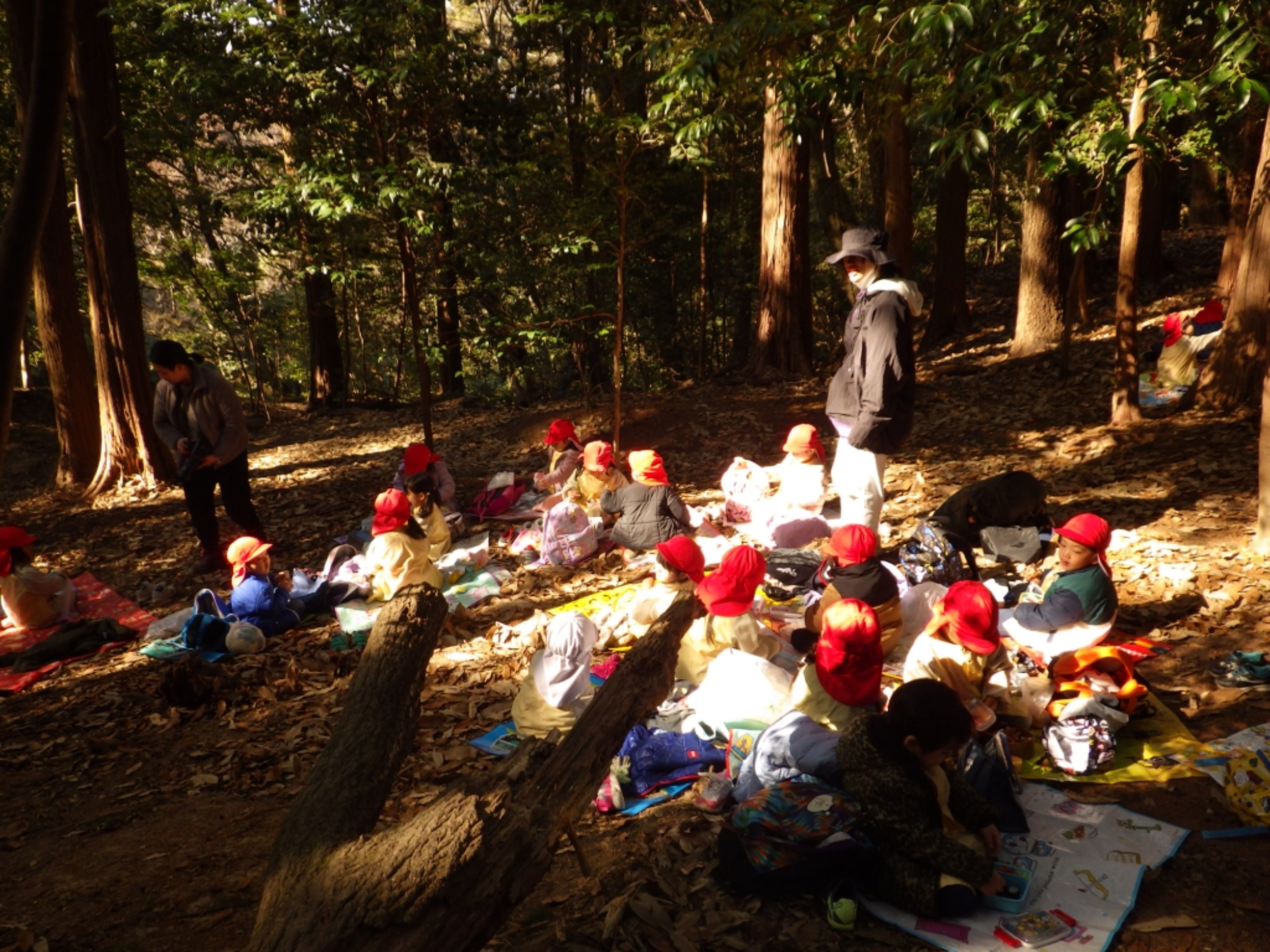 【年少】1/19 村積山 園外保育(2/2)