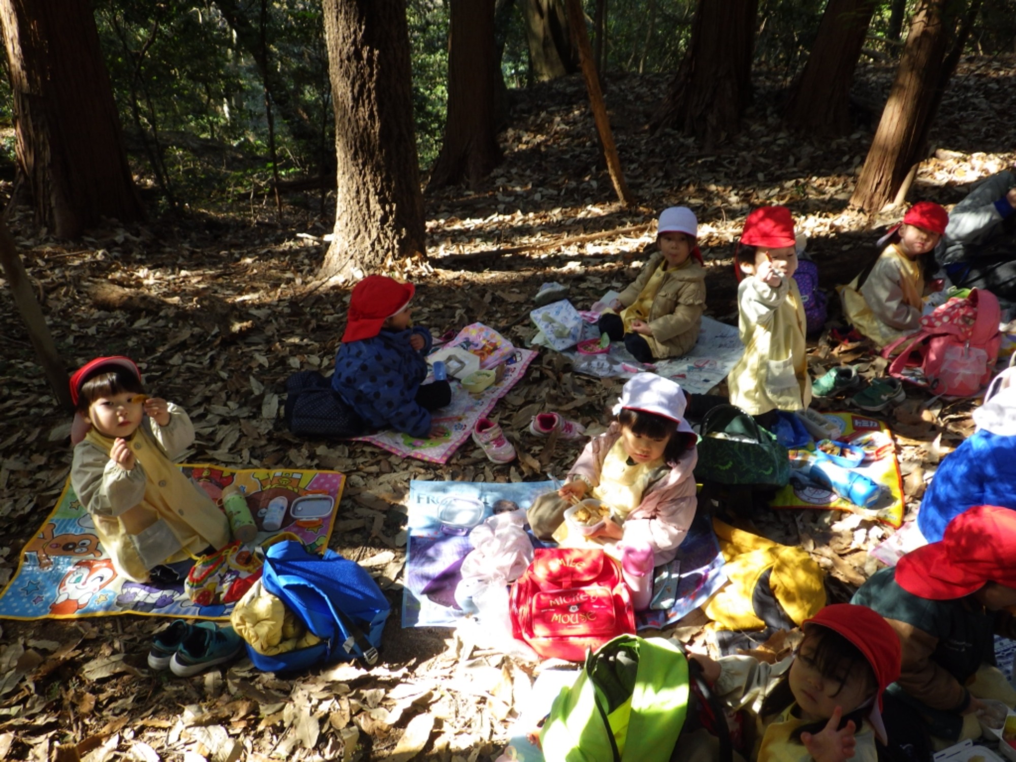 【年少】1/19 村積山 園外保育(2/2)