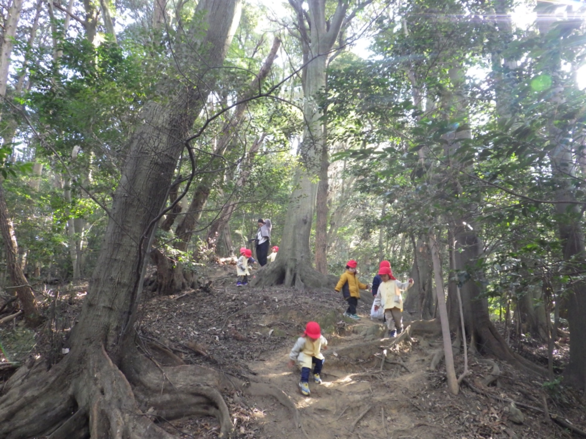 【年少】1/19 村積山 園外保育(2/2)