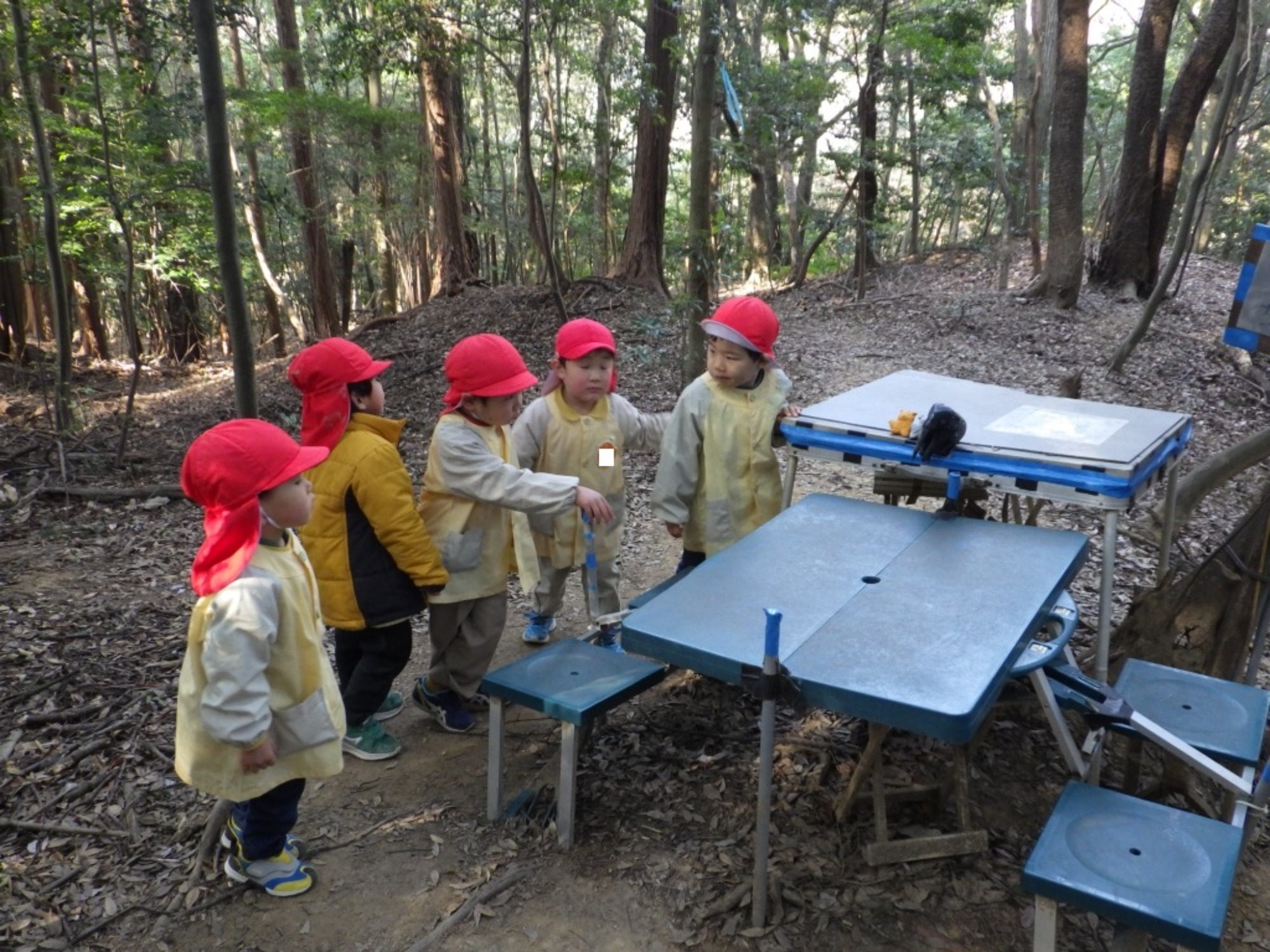 【年少】1/19 村積山 園外保育(2/2)