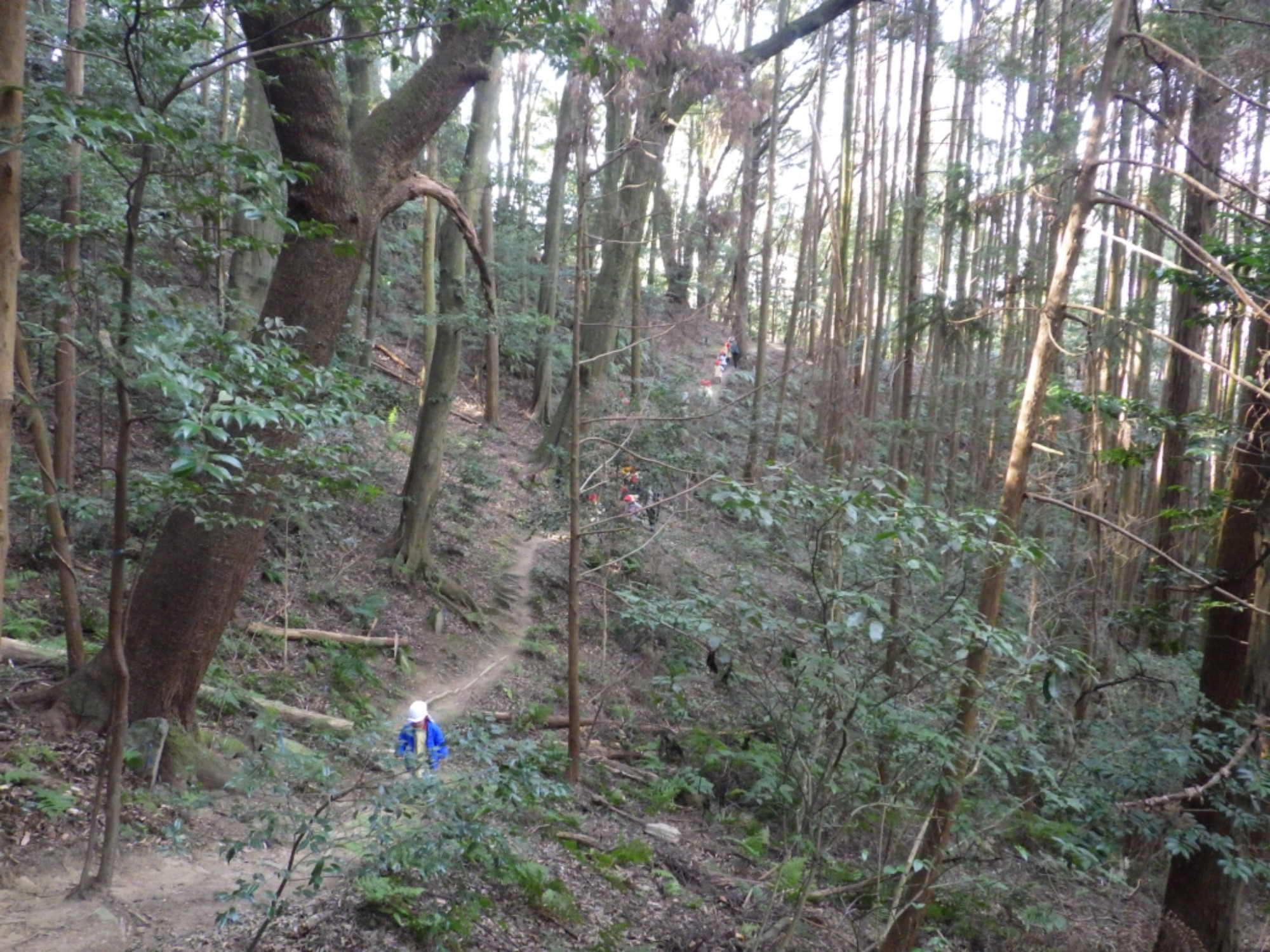 【年少】1/19 村積山 園外保育(2/2)