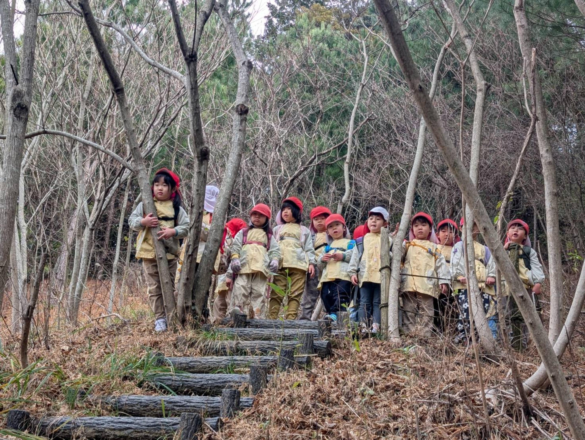 最近のいろいろ