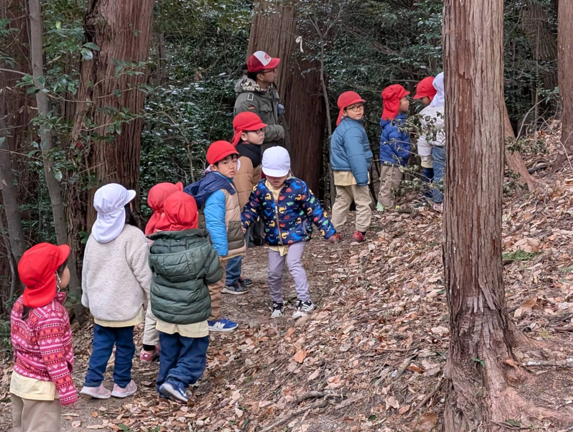 最近のいろいろ