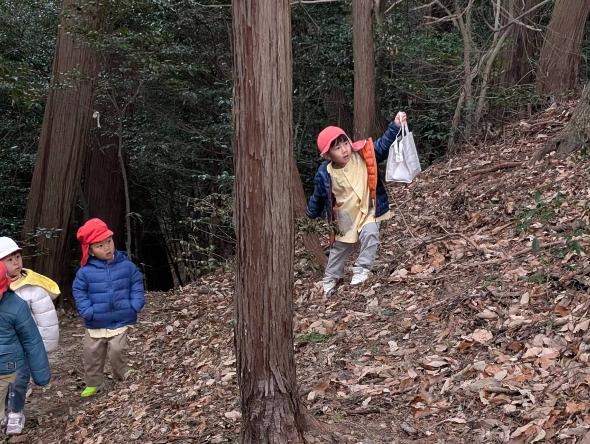 最近のいろいろ