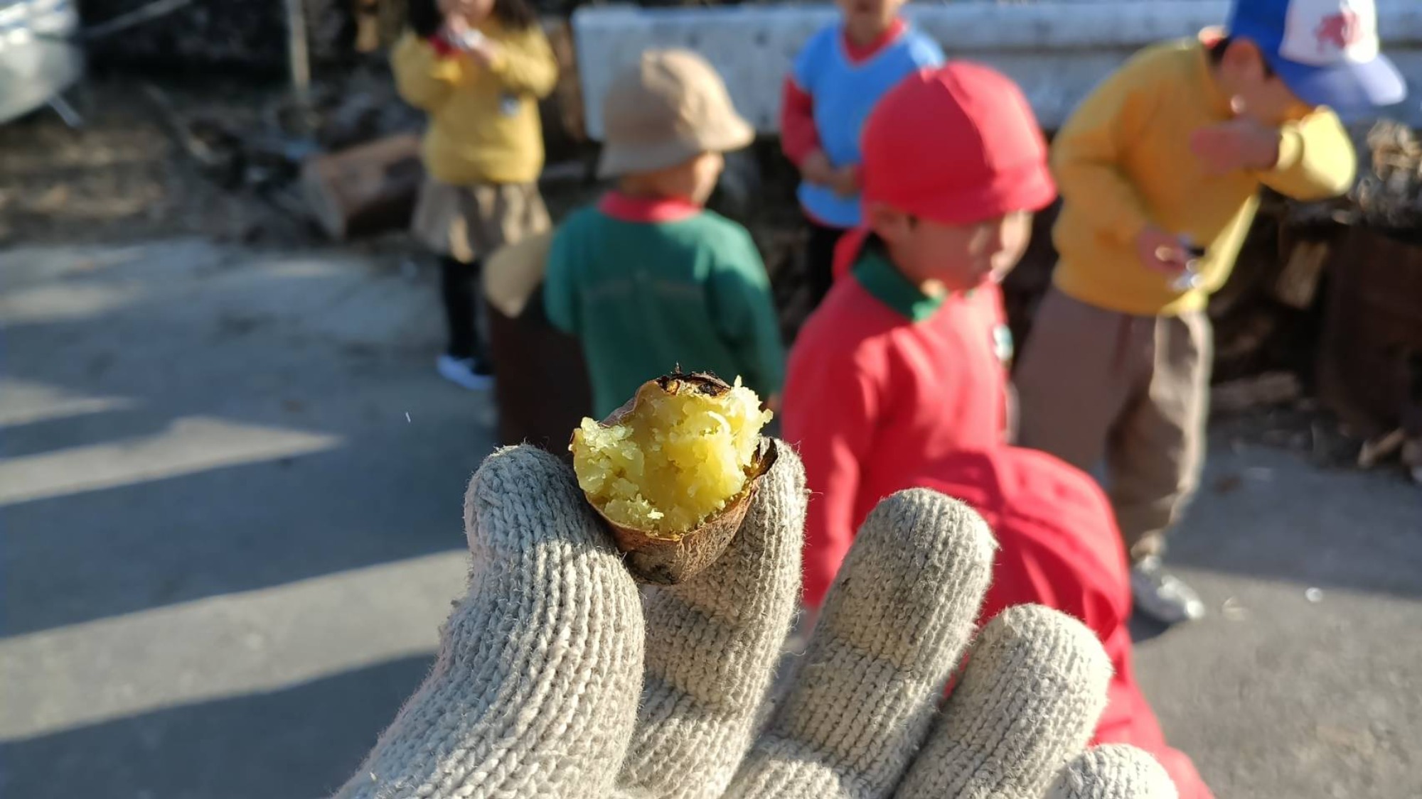 最近のいろいろ