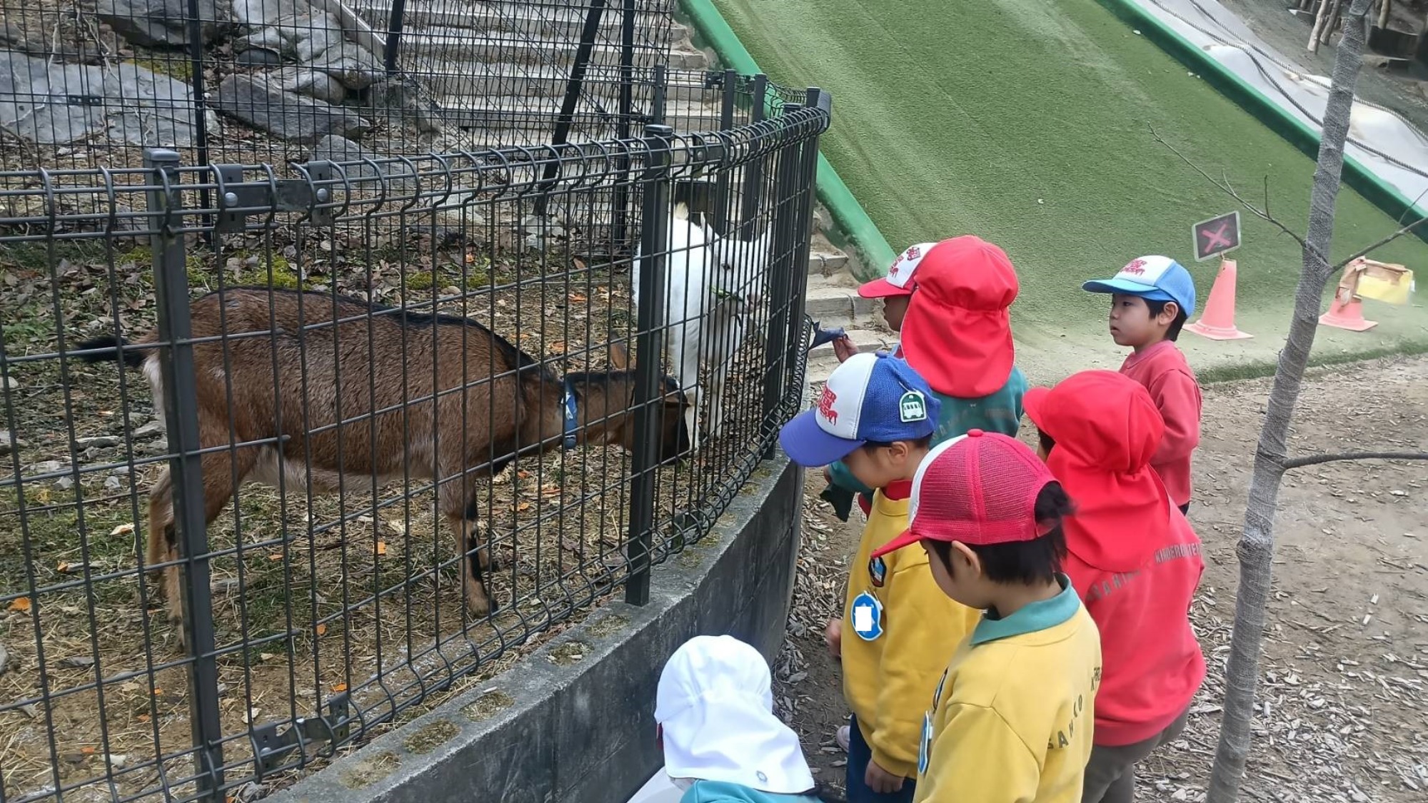 最近のいろいろ