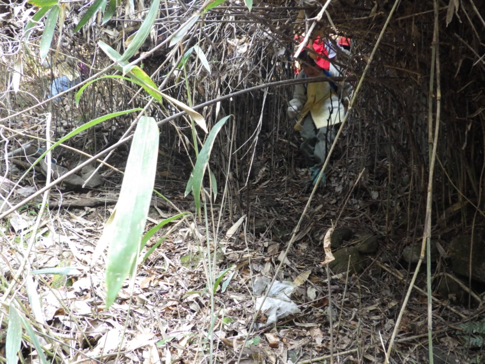 【年長】2/16　村積山　園外保育（1/4）