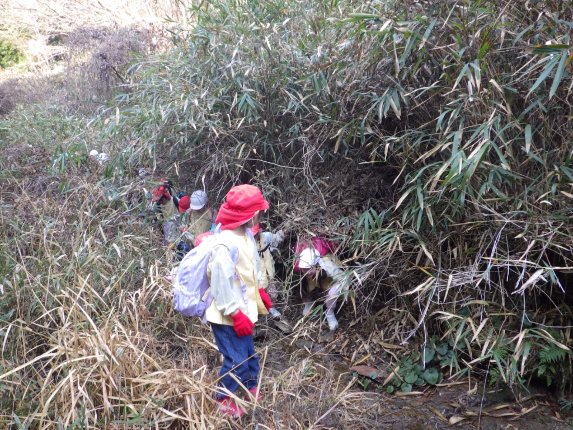 【年長】2/16　村積山　園外保育（1/4）