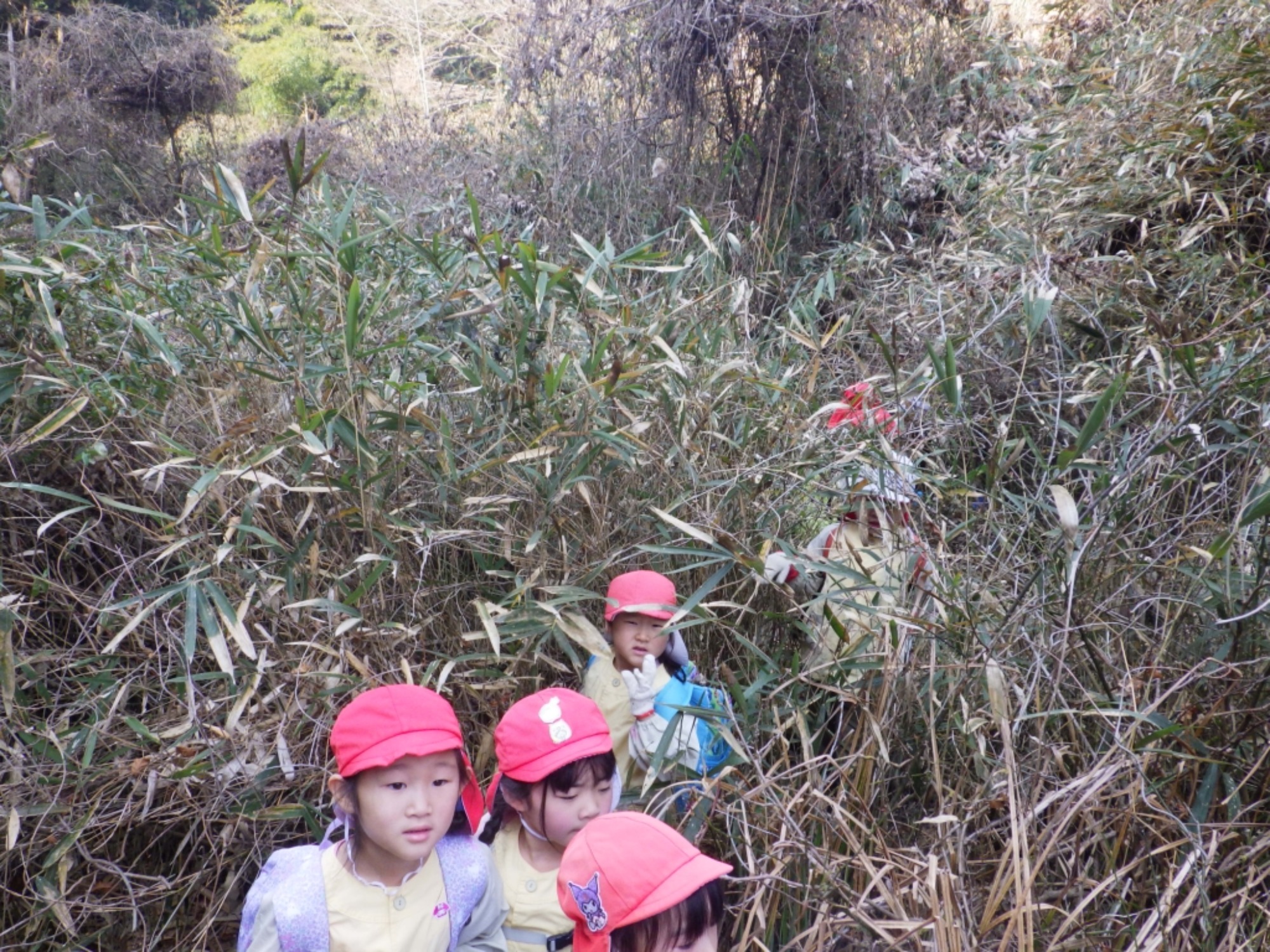 【年長】2/16　村積山　園外保育（1/4）