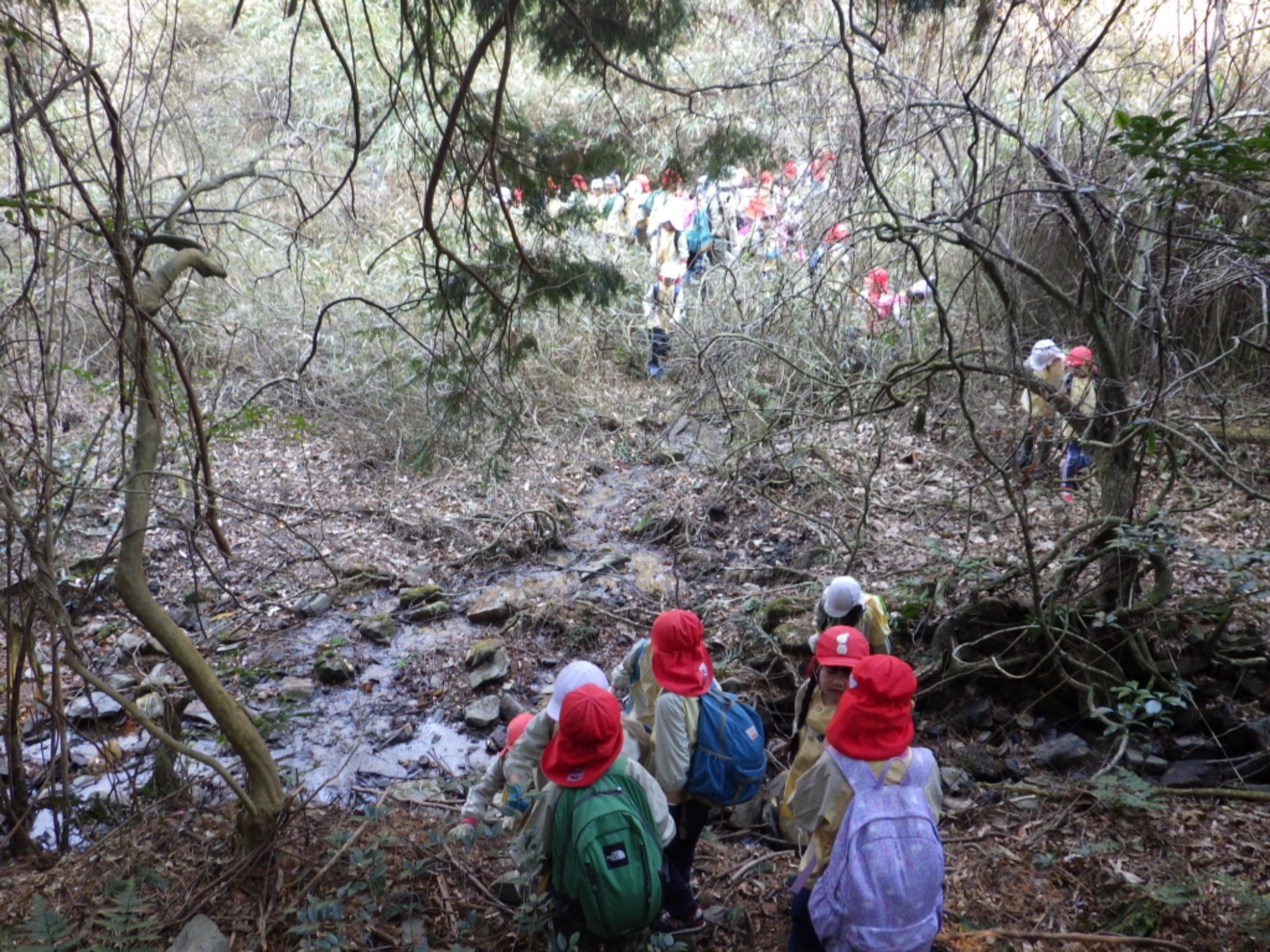 【年長】2/16　村積山　園外保育（1/4）