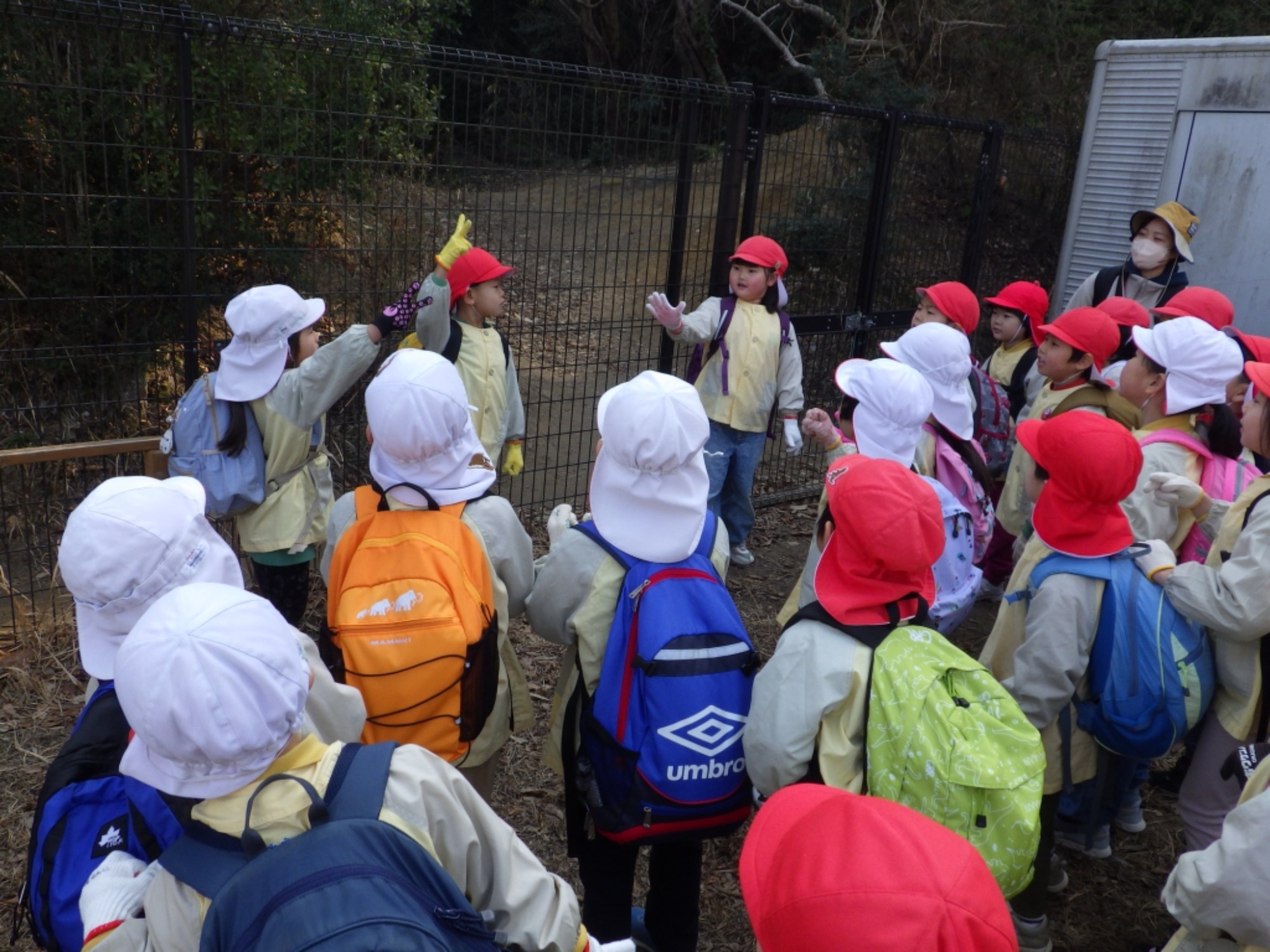 【年長】2/16　村積山　園外保育（1/4）