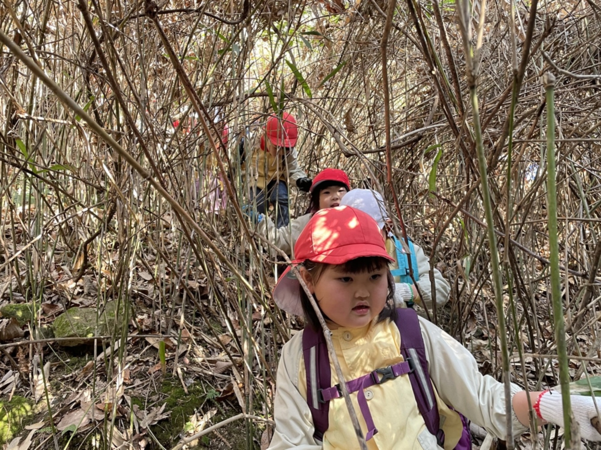 【年長】2/16　村積山　園外保育（1/4）