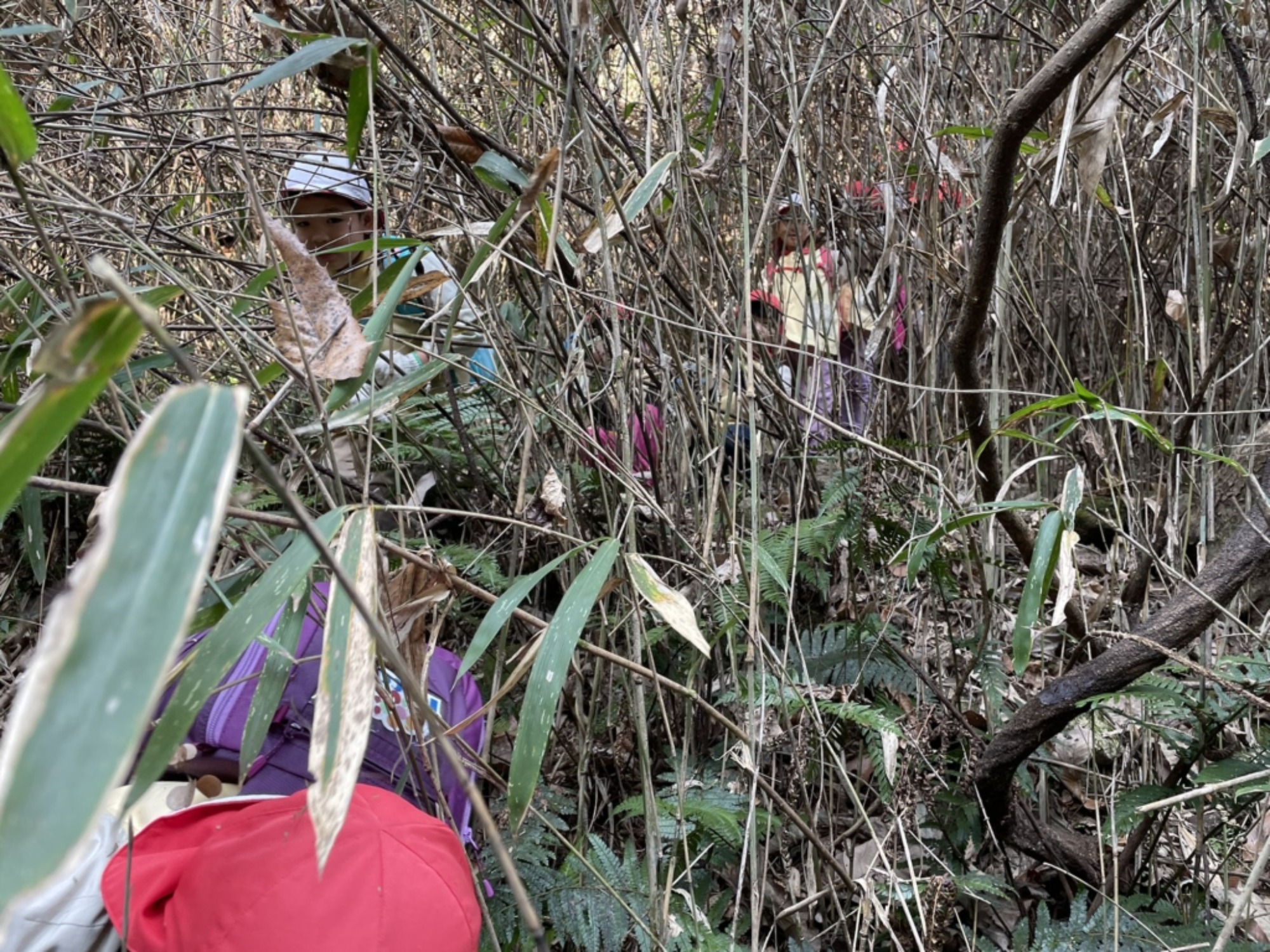 【年長】2/16　村積山　園外保育（1/4）