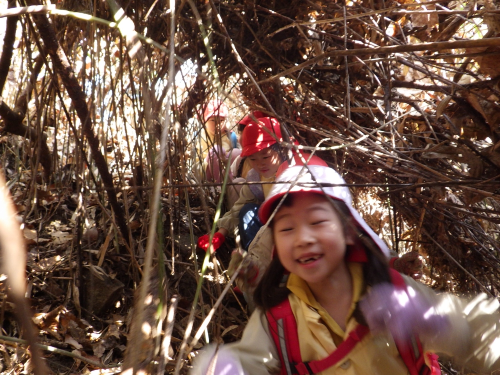 【年長】2/16　村積山　園外保育（1/4）