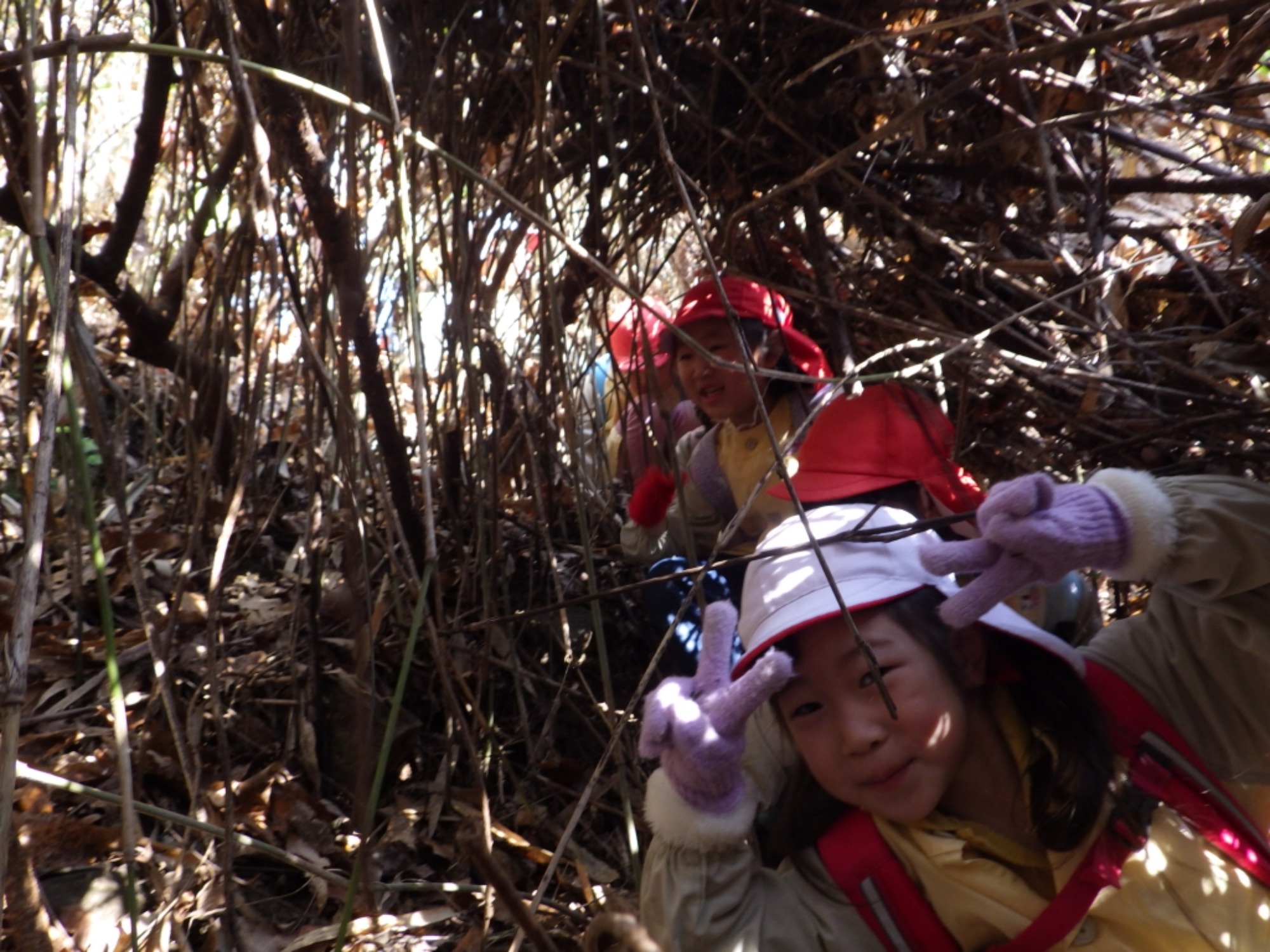 【年長】2/16　村積山　園外保育（1/4）