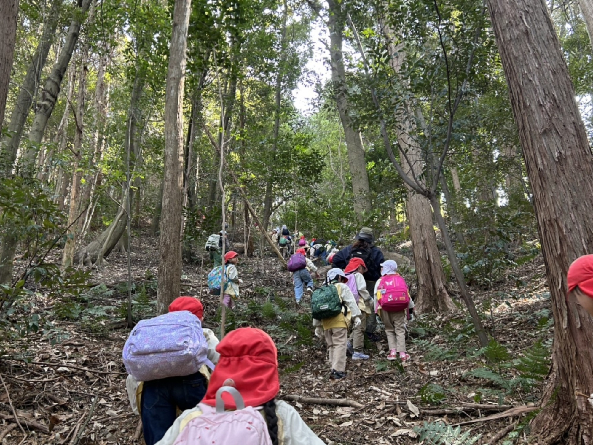 【年長】2/16　村積山　園外保育（2/4）