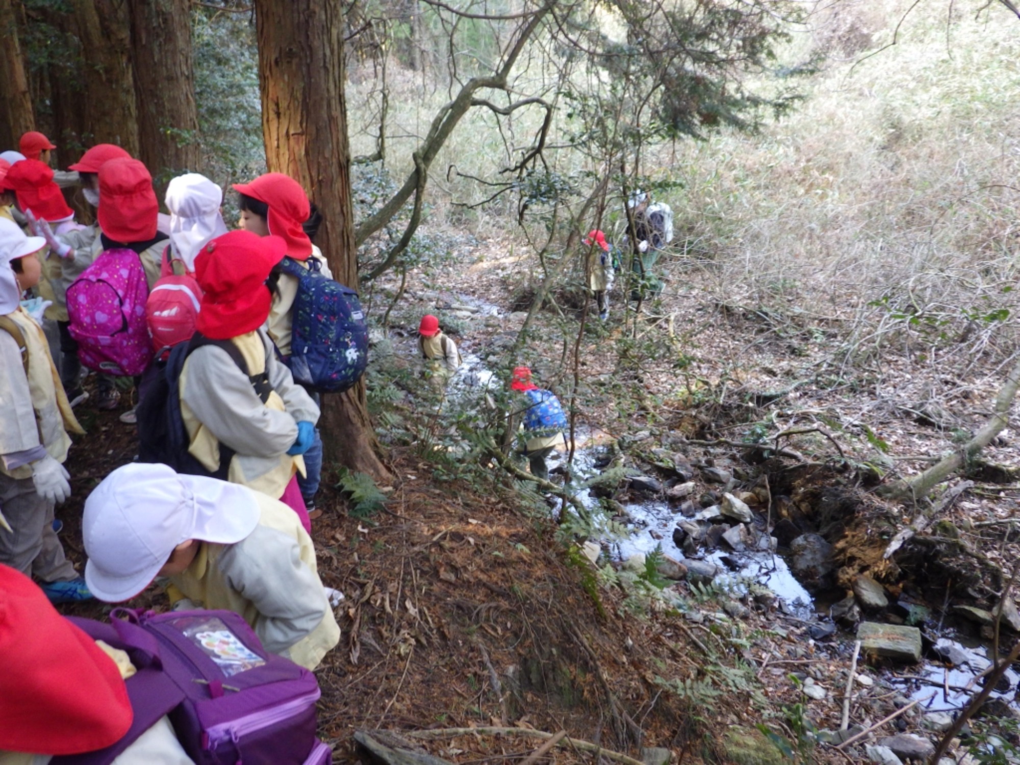 【年長】2/16　村積山　園外保育（2/4）