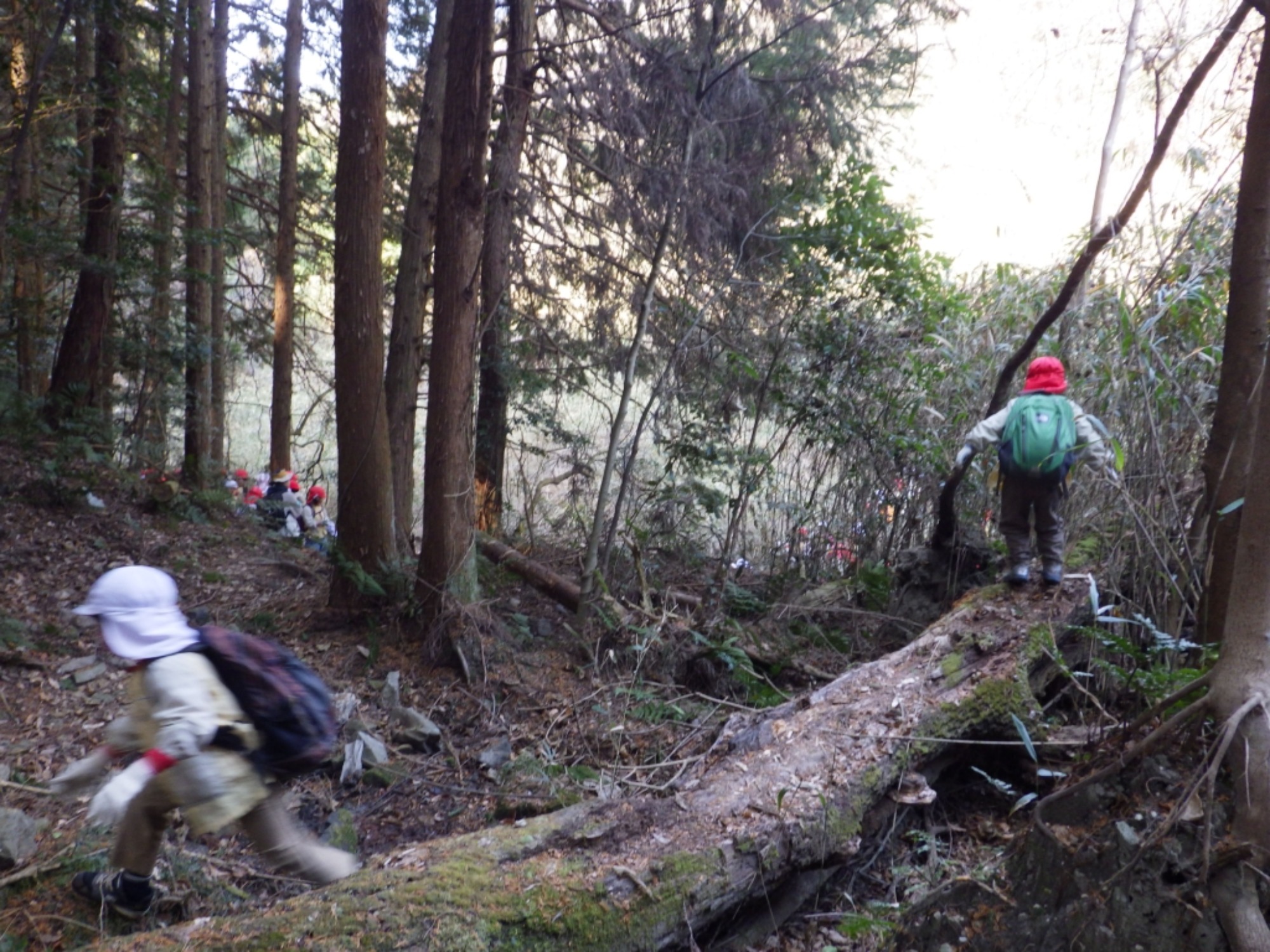 【年長】2/16　村積山　園外保育（2/4）