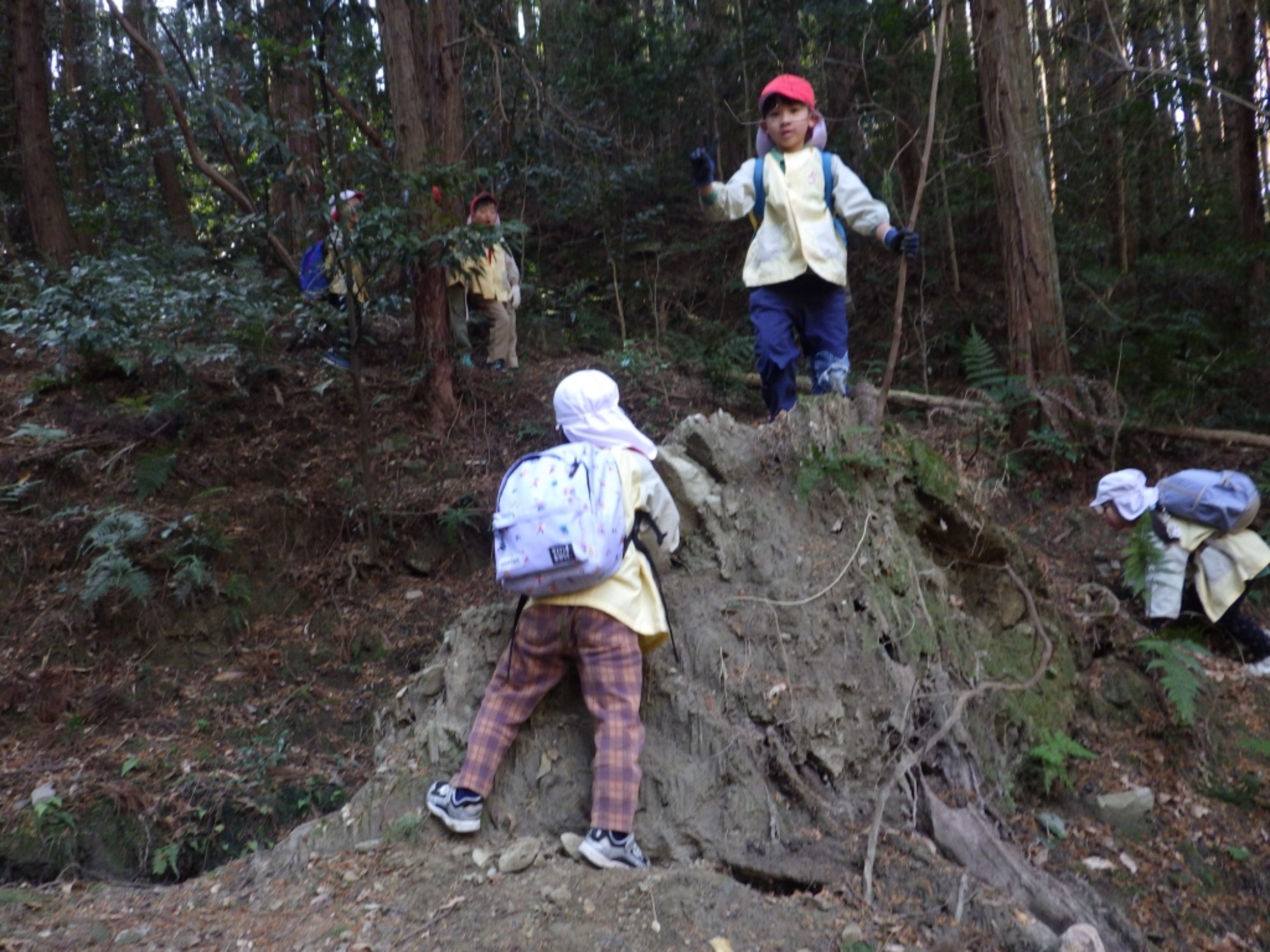 【年長】2/16　村積山　園外保育（2/4）