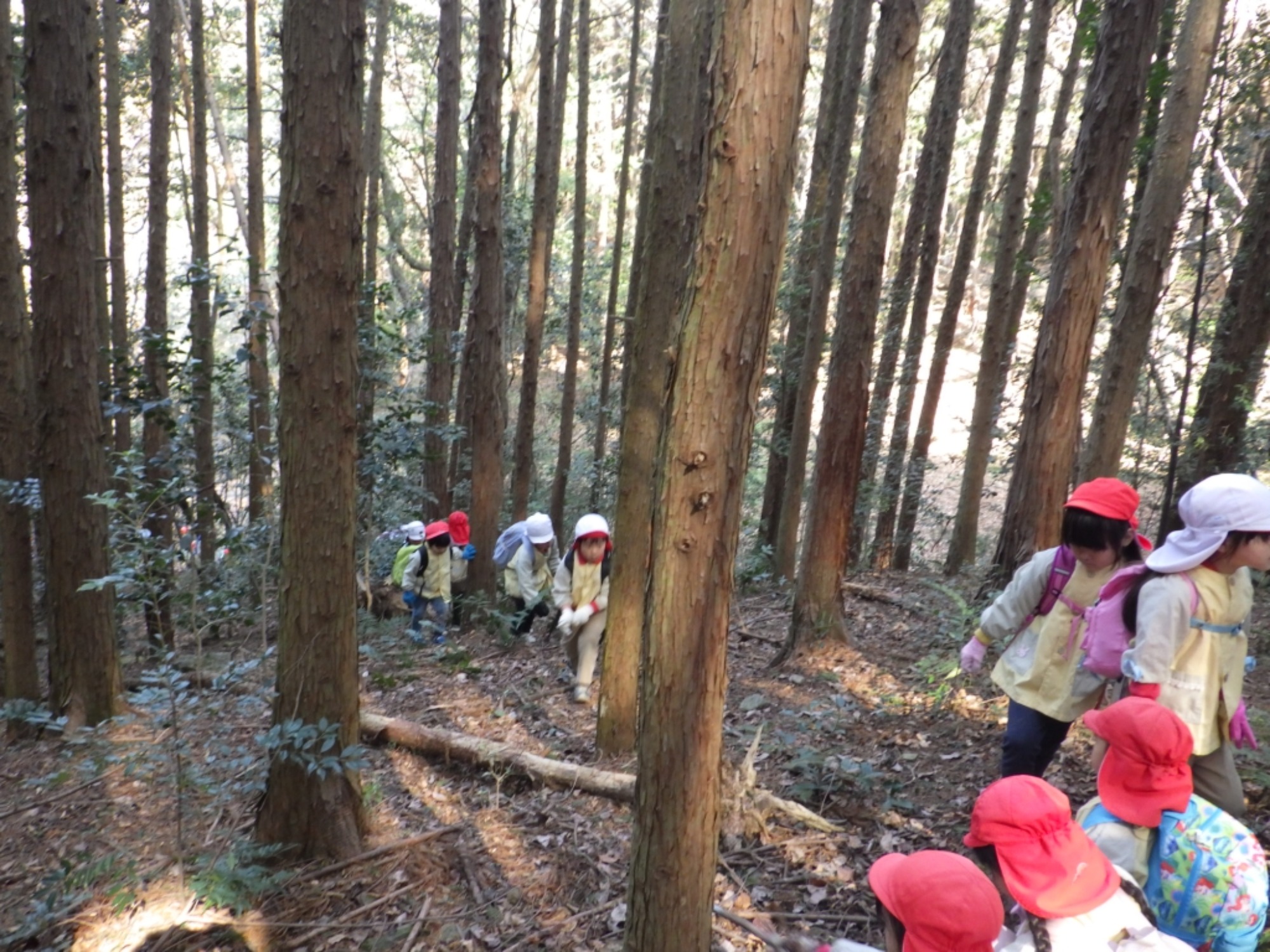 【年長】2/16　村積山　園外保育（2/4）