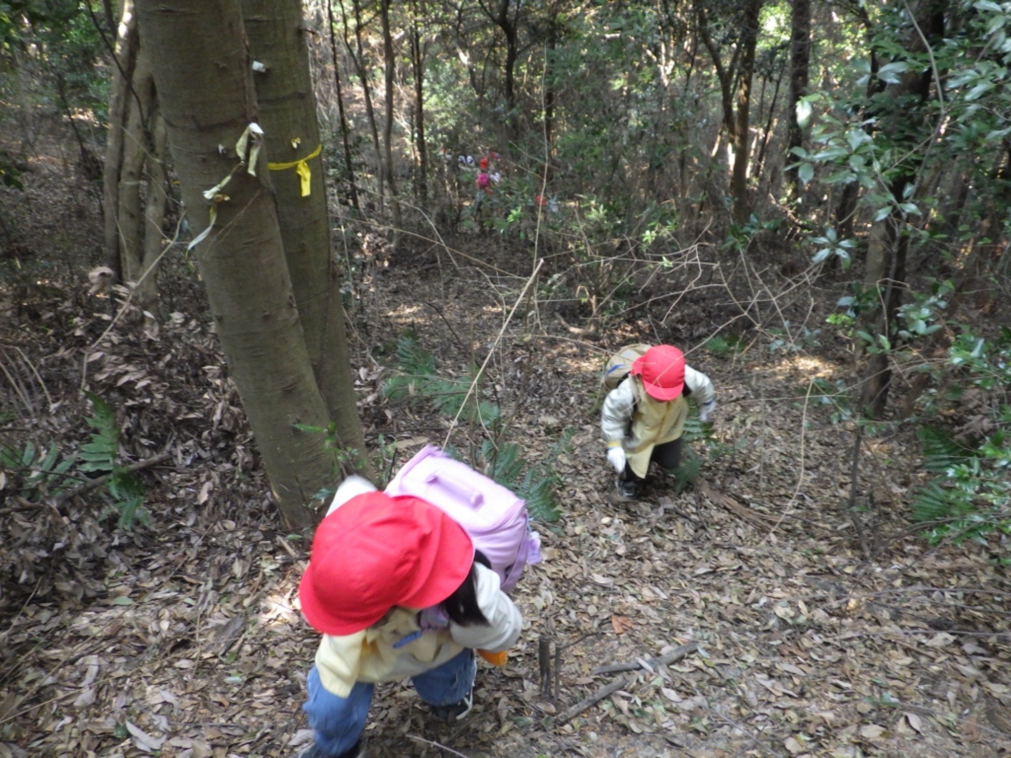 【年長】2/16 村積山 園外保育(3/4)
