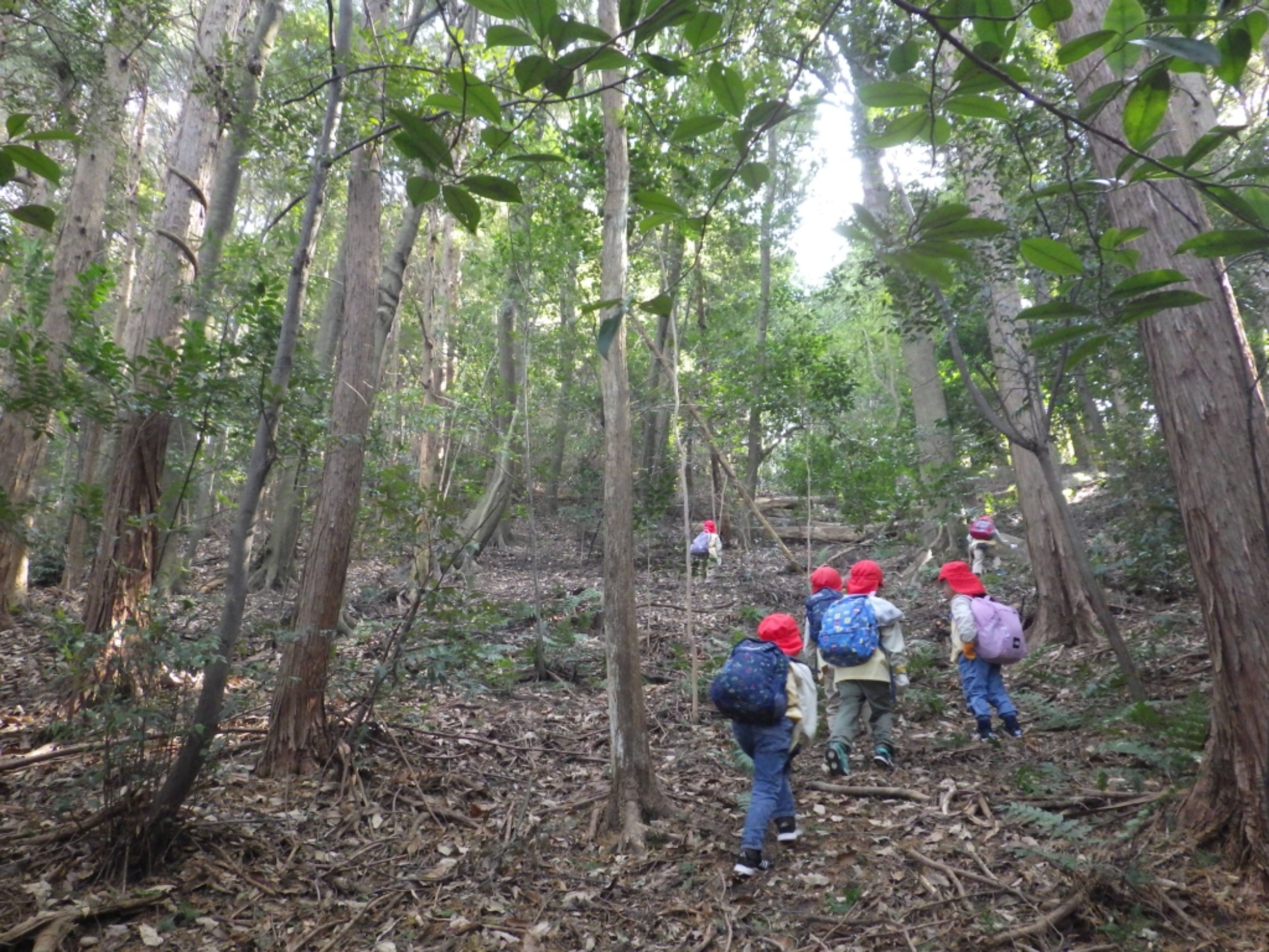 【年長】2/16 村積山 園外保育(3/4)