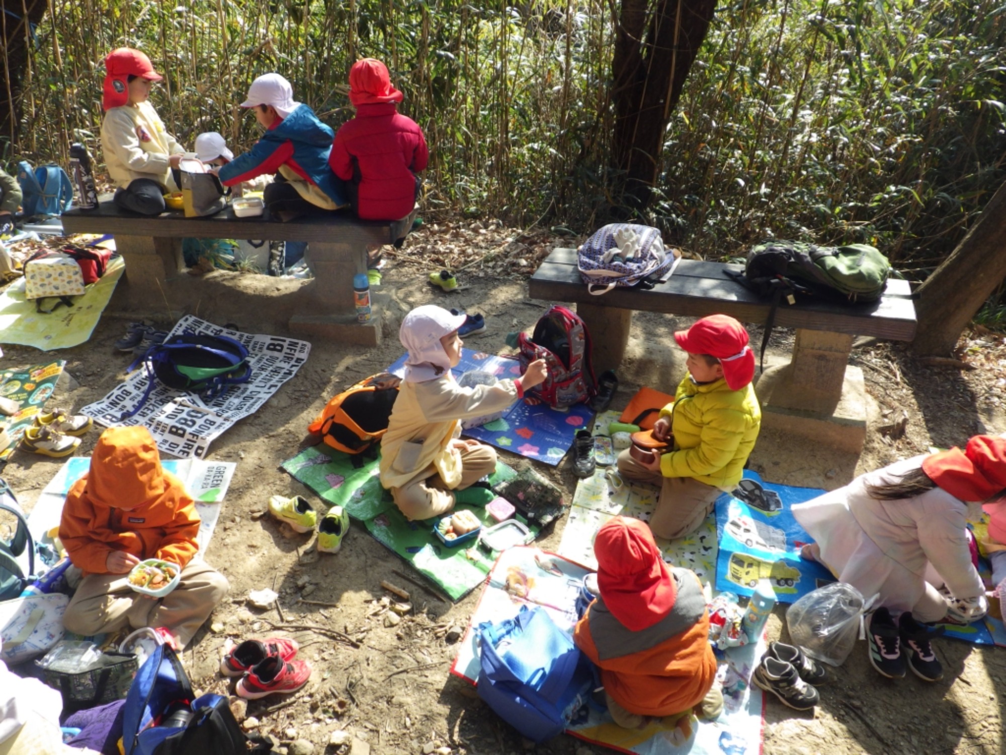 【年長】2/16 村積山 園外保育(3/4)