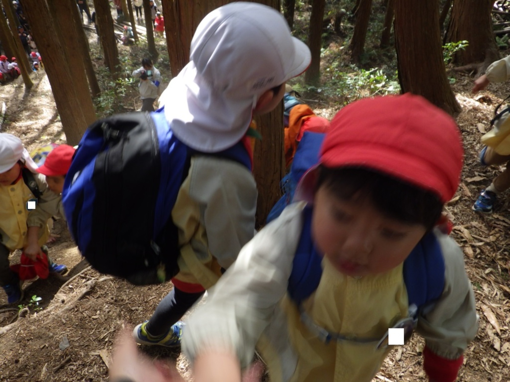 【年長】2/24 村積山 お別れ園外保育(2/2)