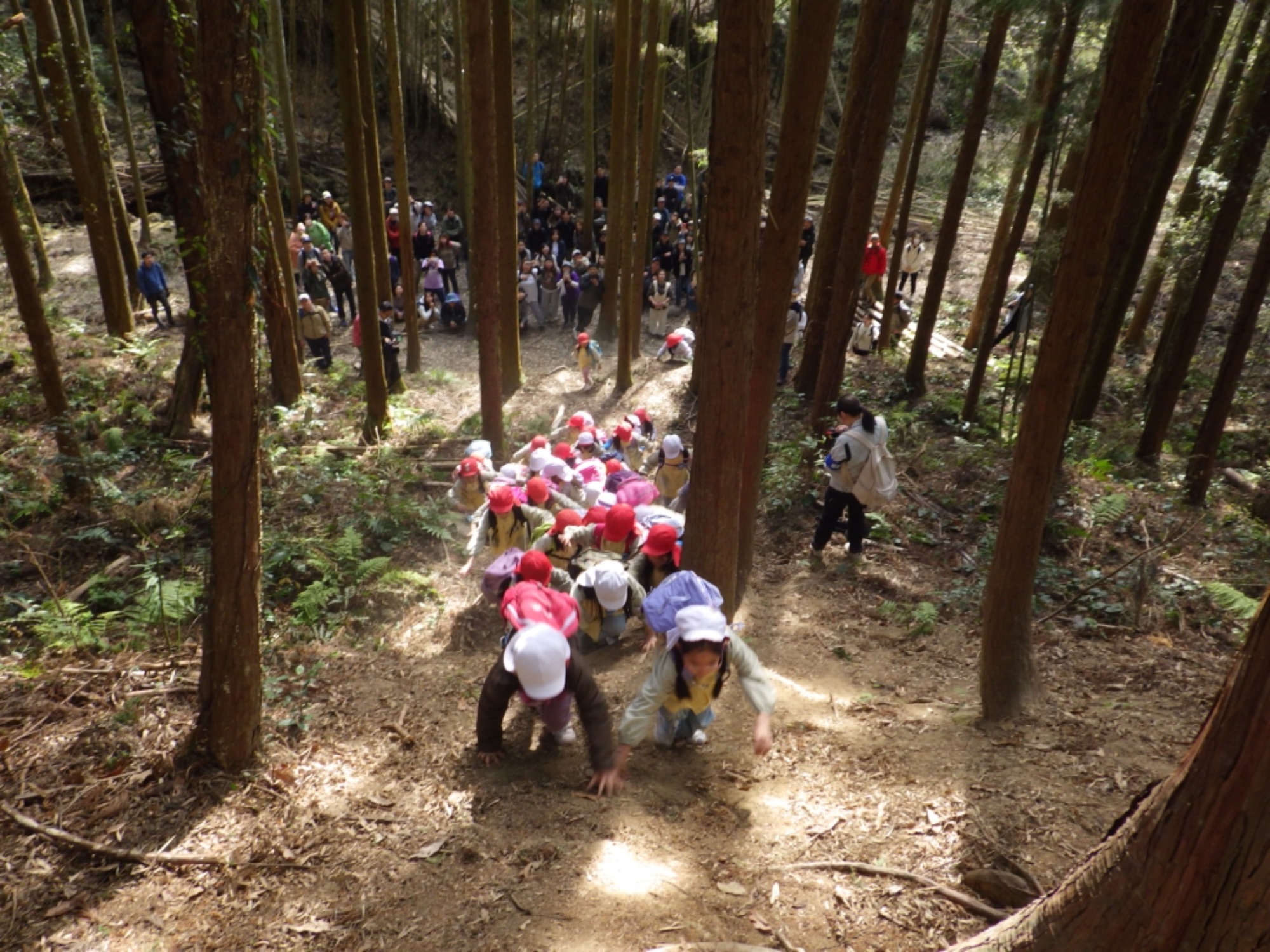 【年長】2/24 村積山 お別れ園外保育(2/2)
