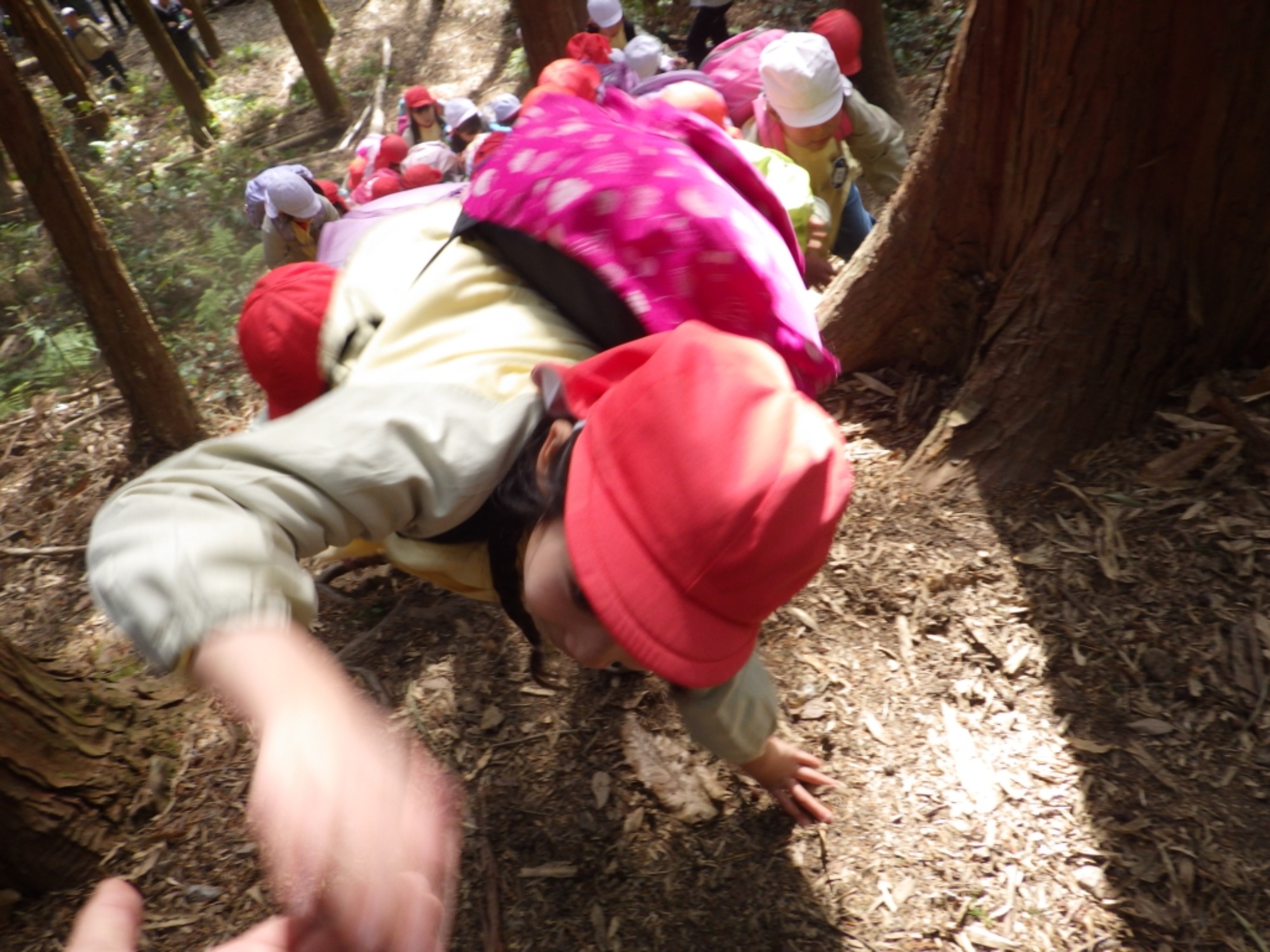 【年長】2/24 村積山 お別れ園外保育(2/2)