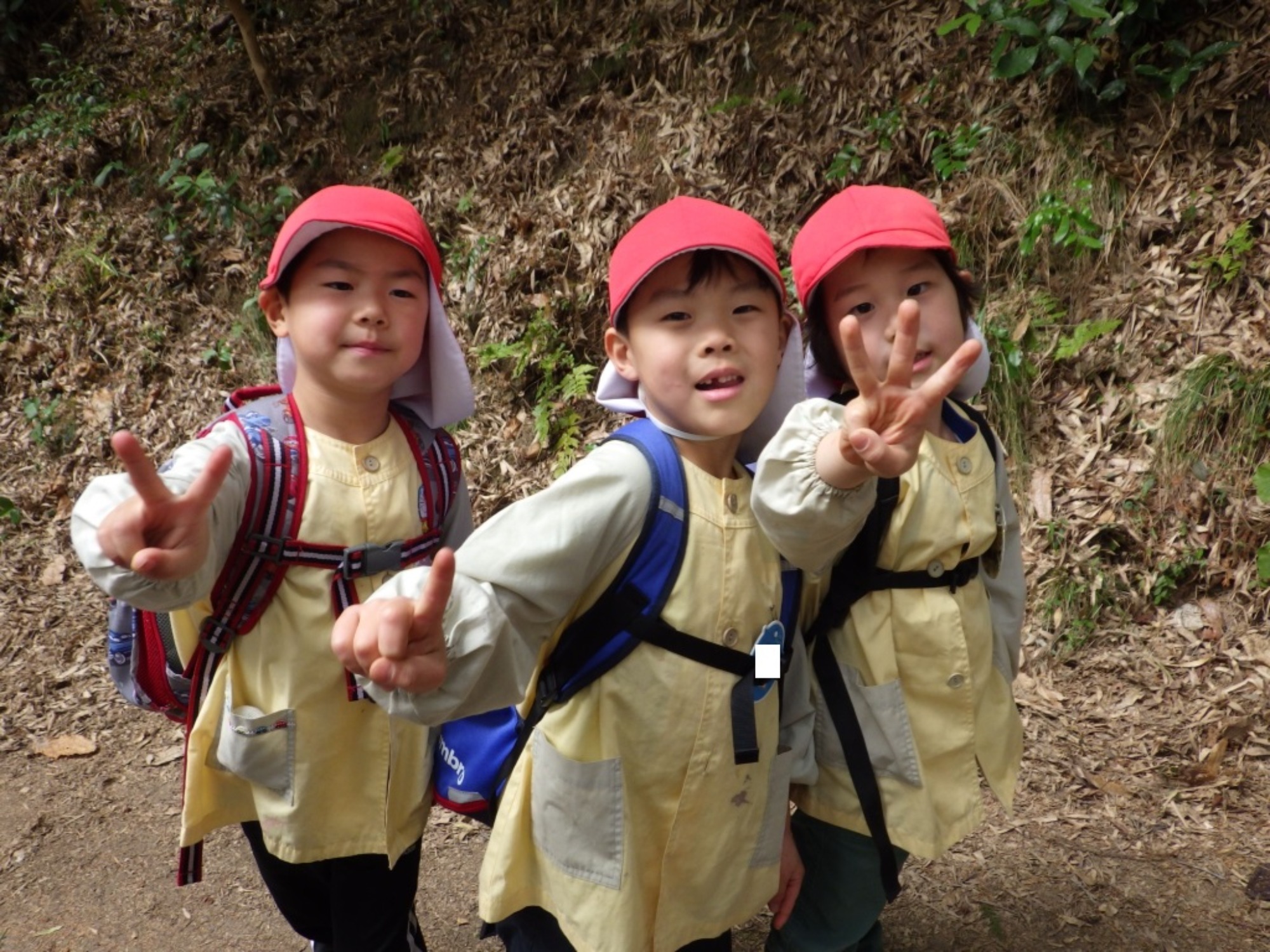【年長】2/24 村積山 お別れ園外保育(2/2)