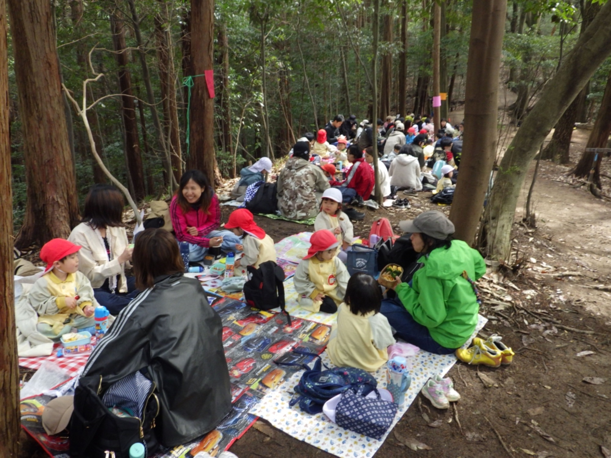  【年少】2/27　村積山　お別れ園外保育（1/3）