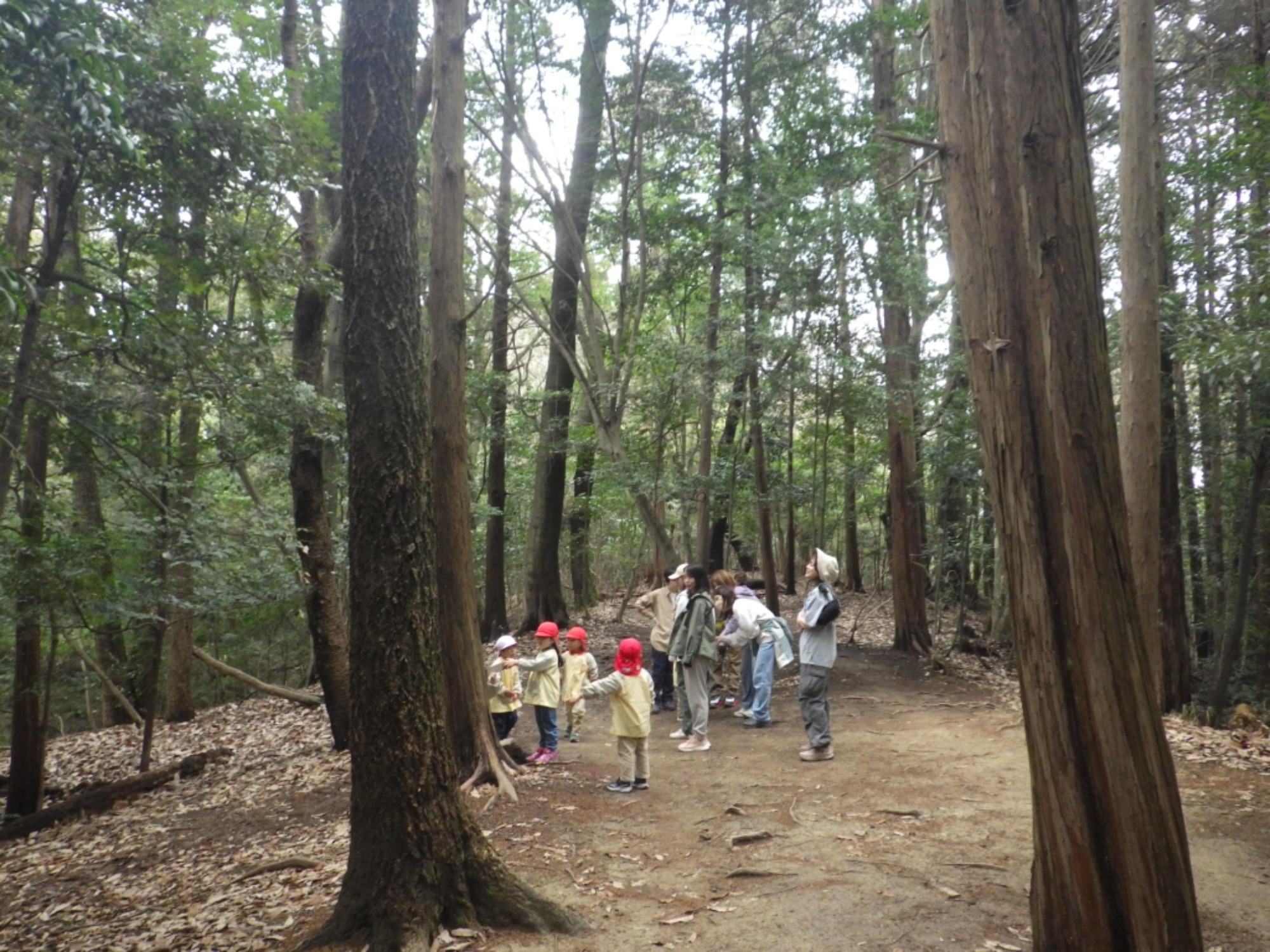  【年少】2/27　村積山　お別れ園外保育（1/3）