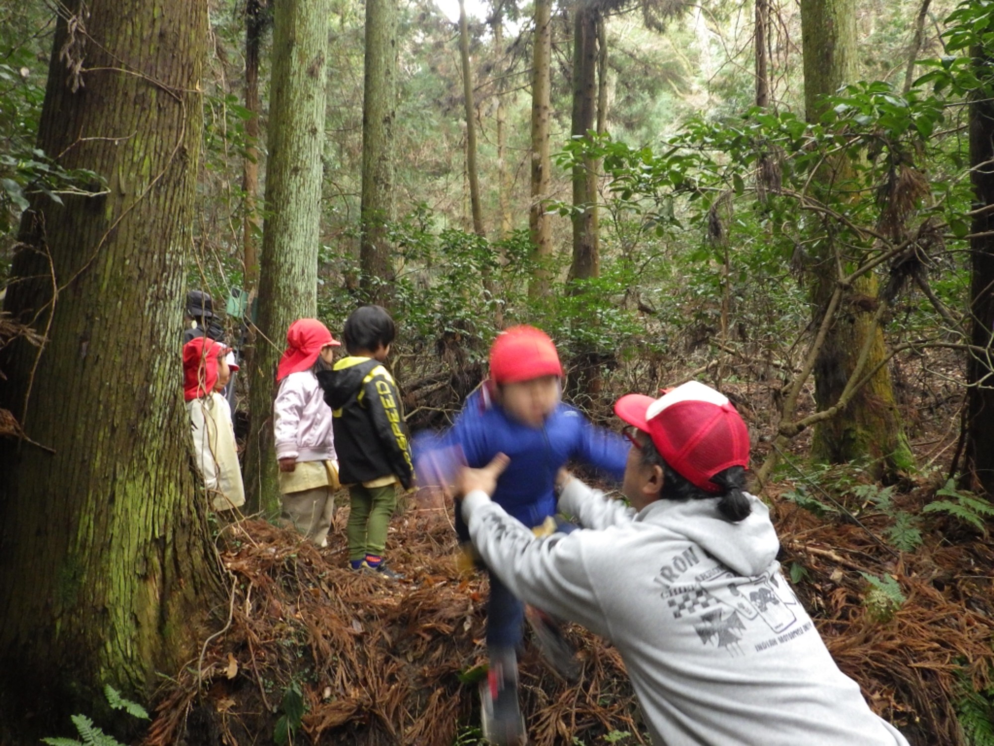  【年少】2/27　村積山　お別れ園外保育（2/3）
