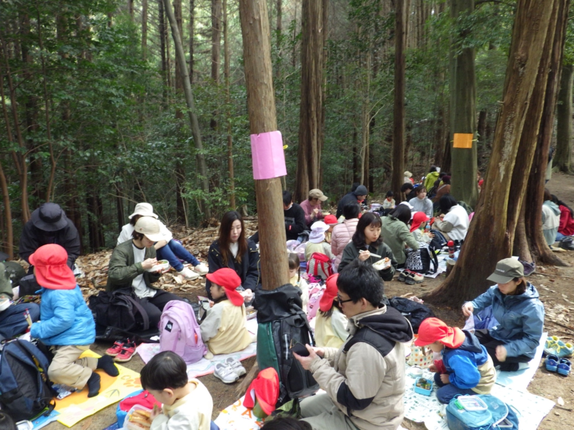  【年少】2/27　村積山　お別れ園外保育（2/3）