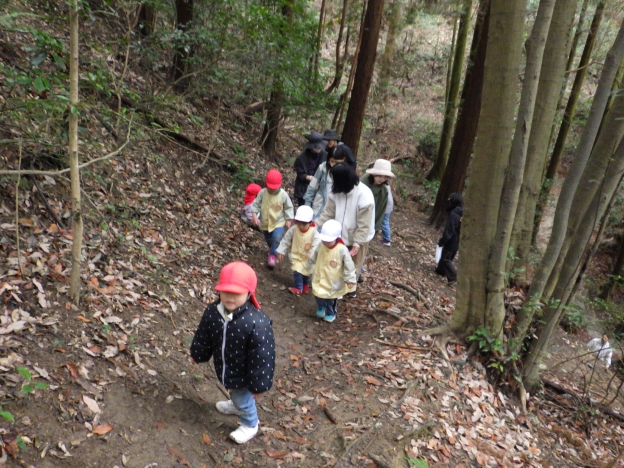 【年少】2/27 村積山 お別れ園外保育(3/3)