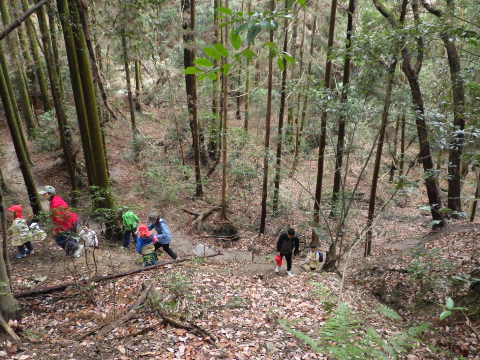 【年少】2/27 村積山 お別れ園外保育(3/3)