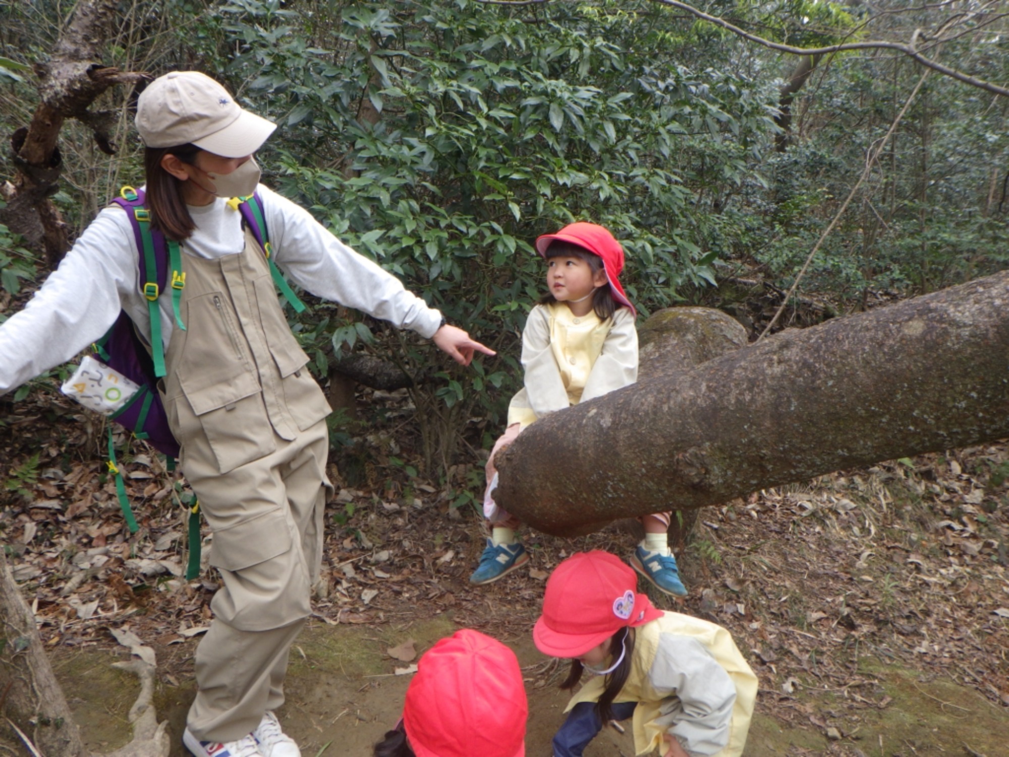 【くも】3/2　村積山　園外保育